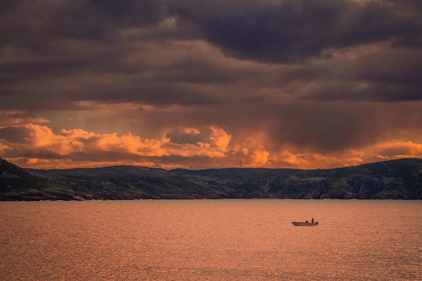 Lone fishing boat on the edge of the storm, Bayleys Cove. 

#bonavista #newfoundland #atlanticcanada #documentary #travel #canada #thesea #ocean #northatlantic #sonyalpha #sigmacanada