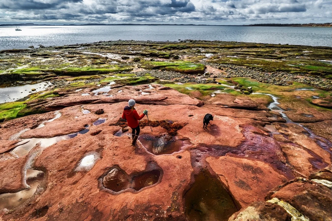 Walking on the ocean floor on a sunny April day.

#tidesout #newbrunswick #canada