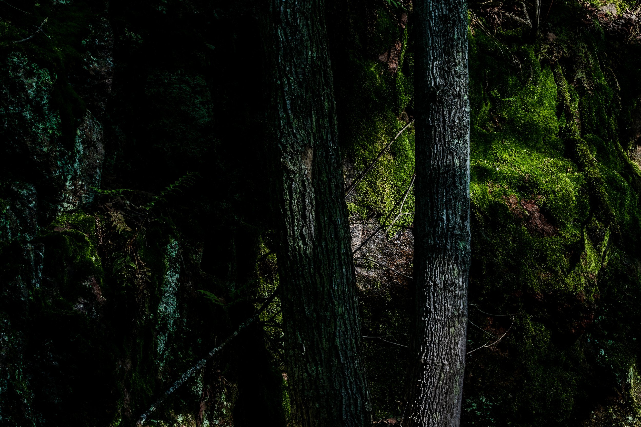 51-A7404956-Enhanced-NR.jpg