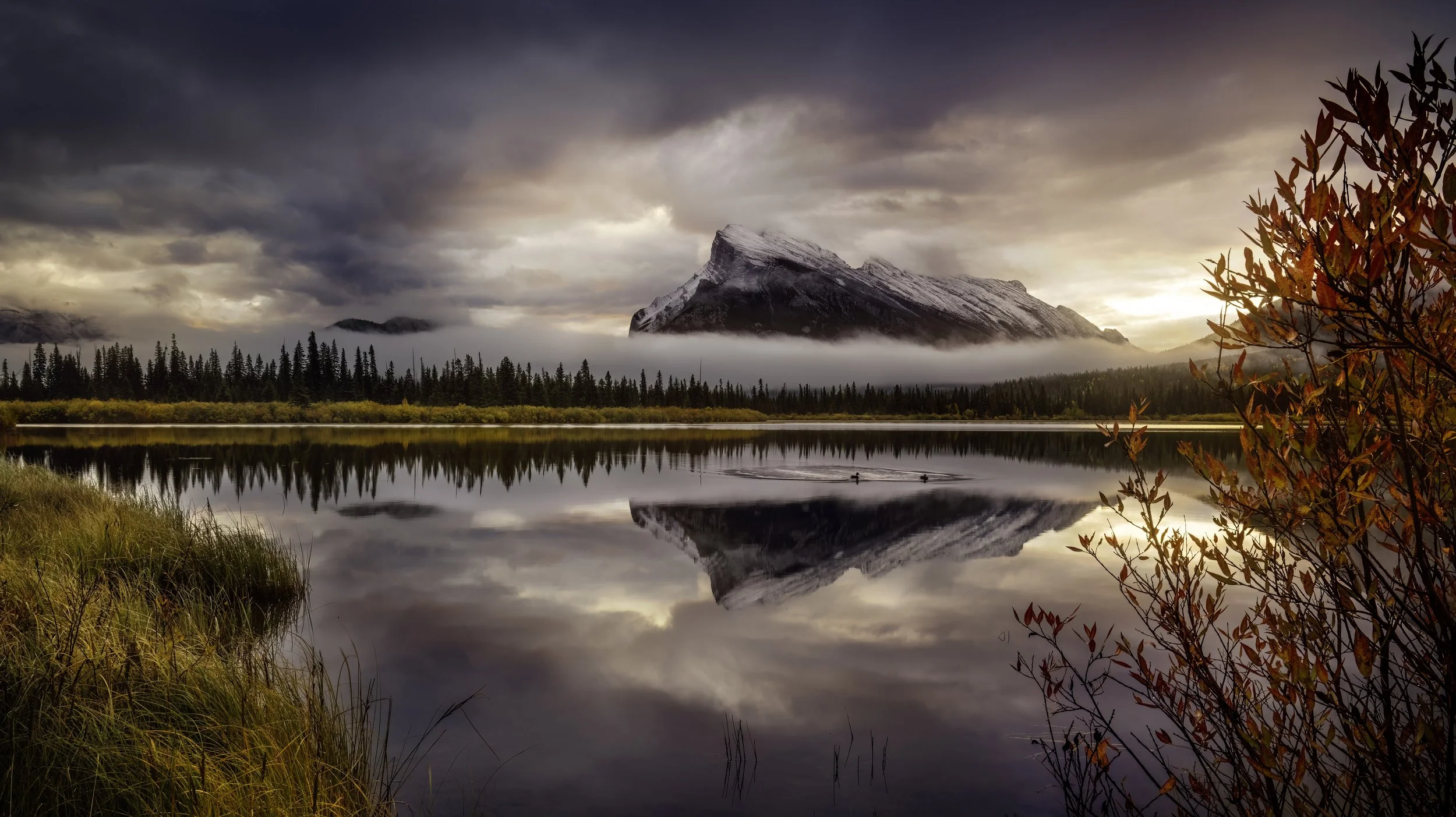 MAT_9041-Edit copy 2.jpg