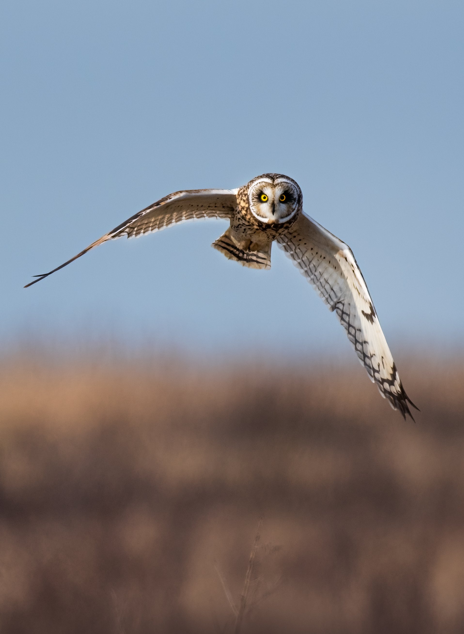 MAT_4190-Edit.jpg
