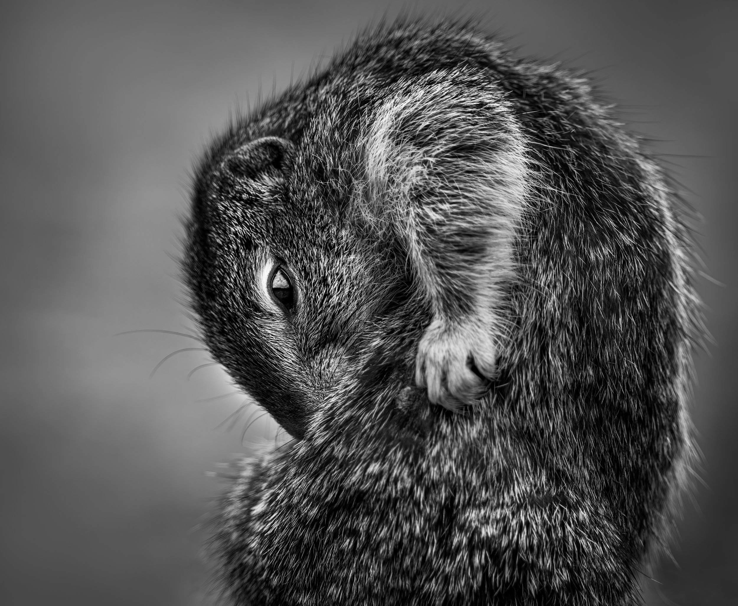 MAT_1191-Edit-Edit.jpg