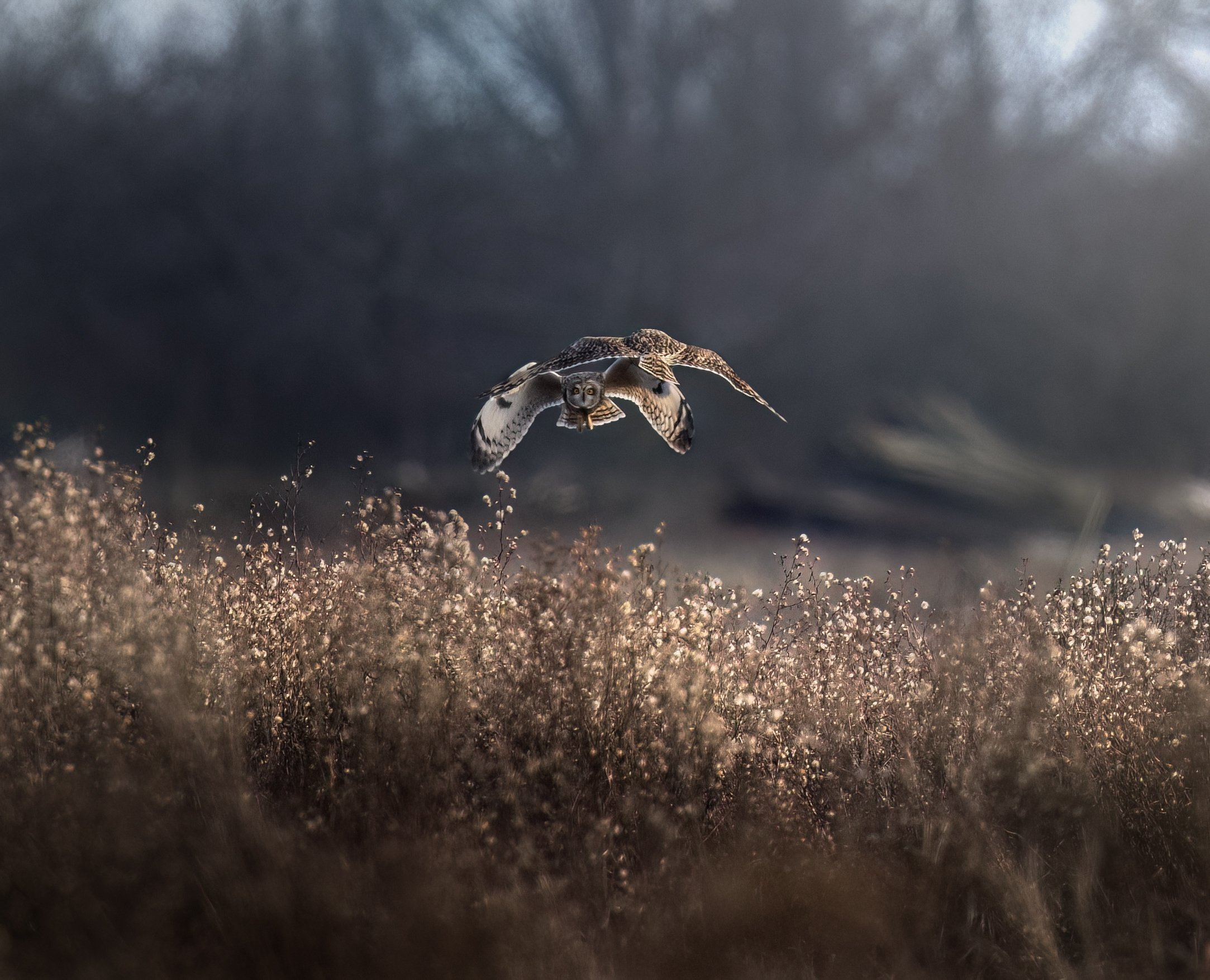MAT_4520-Edit.jpg