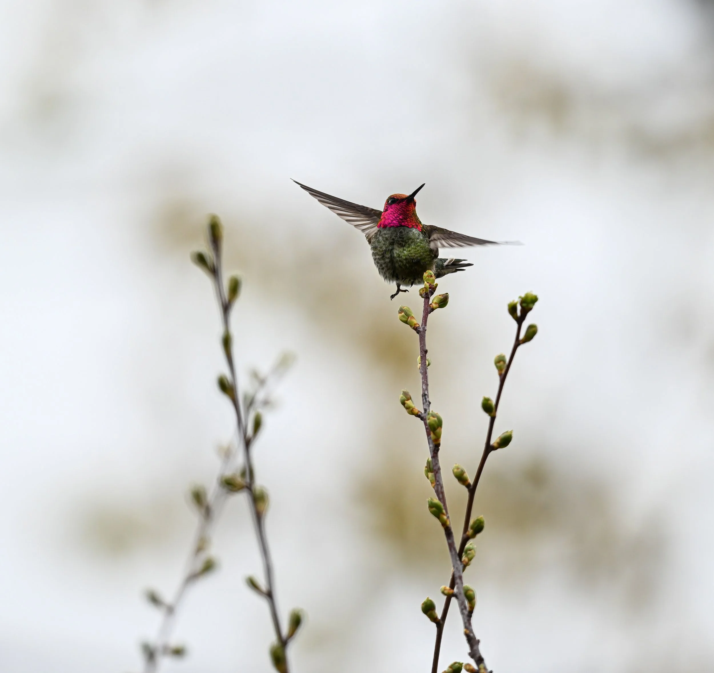 MAT_0669-Edit.jpg