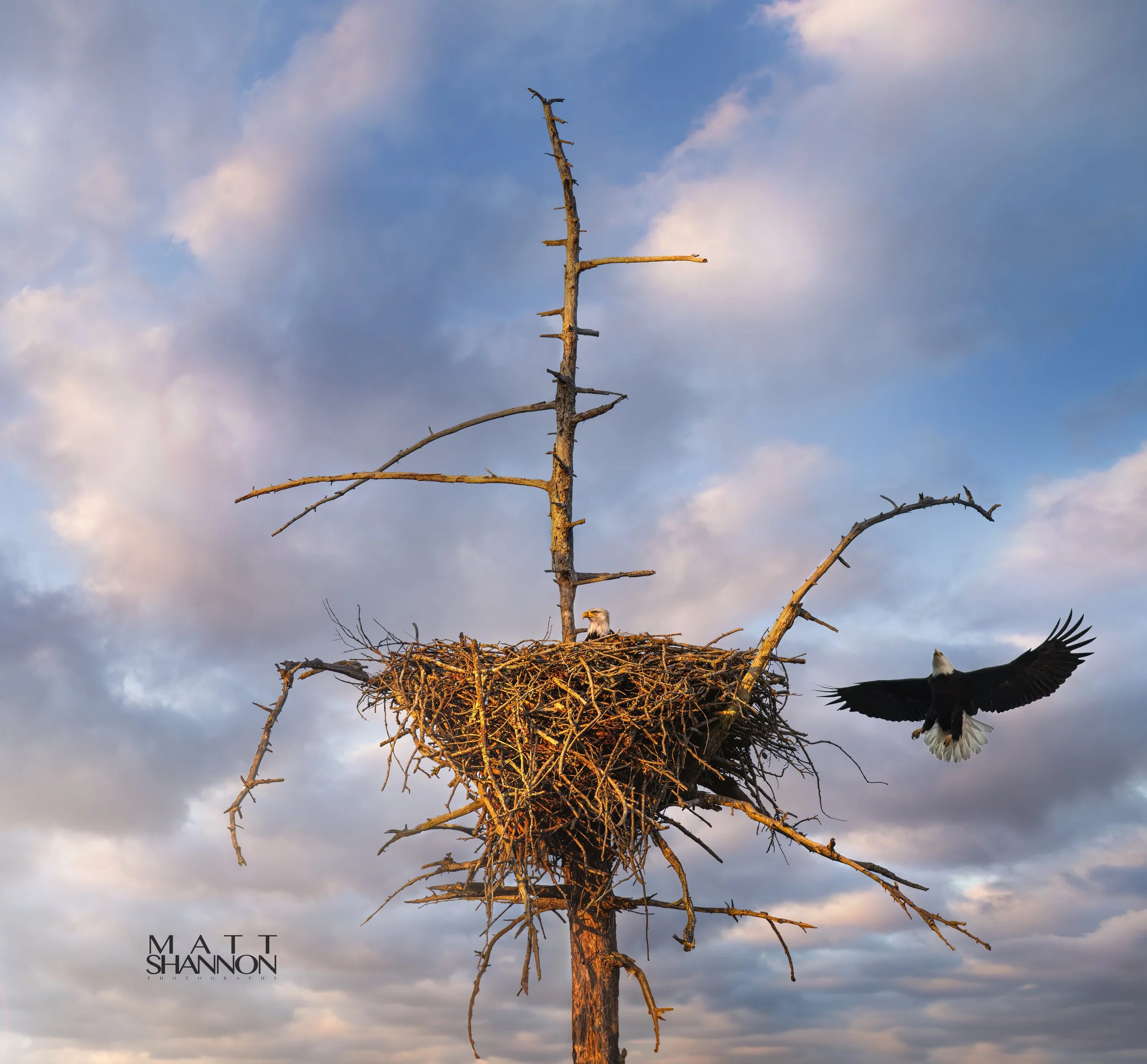MAT_3630-Edit-2.jpg
