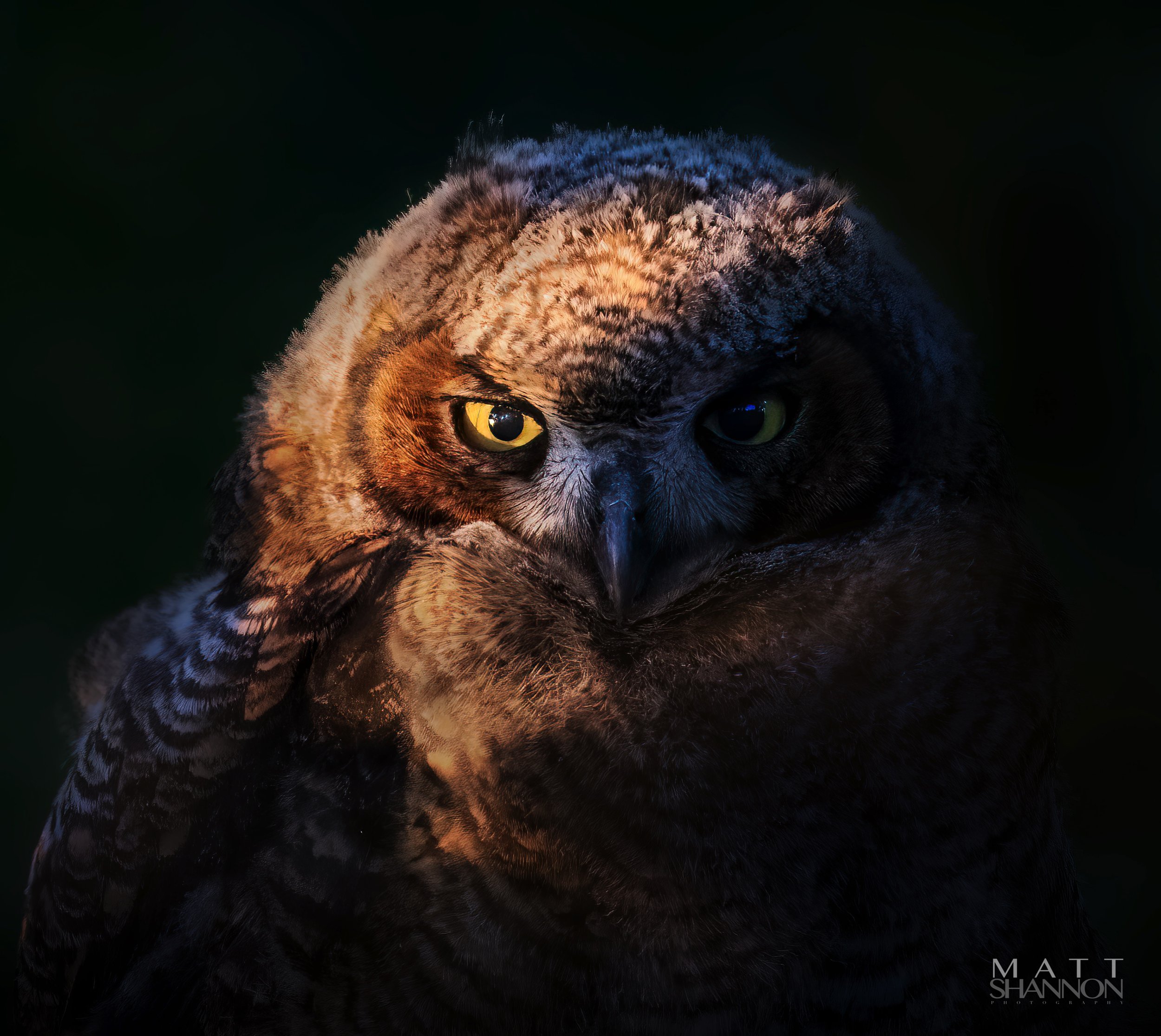 _MAT6301-Edit.jpg