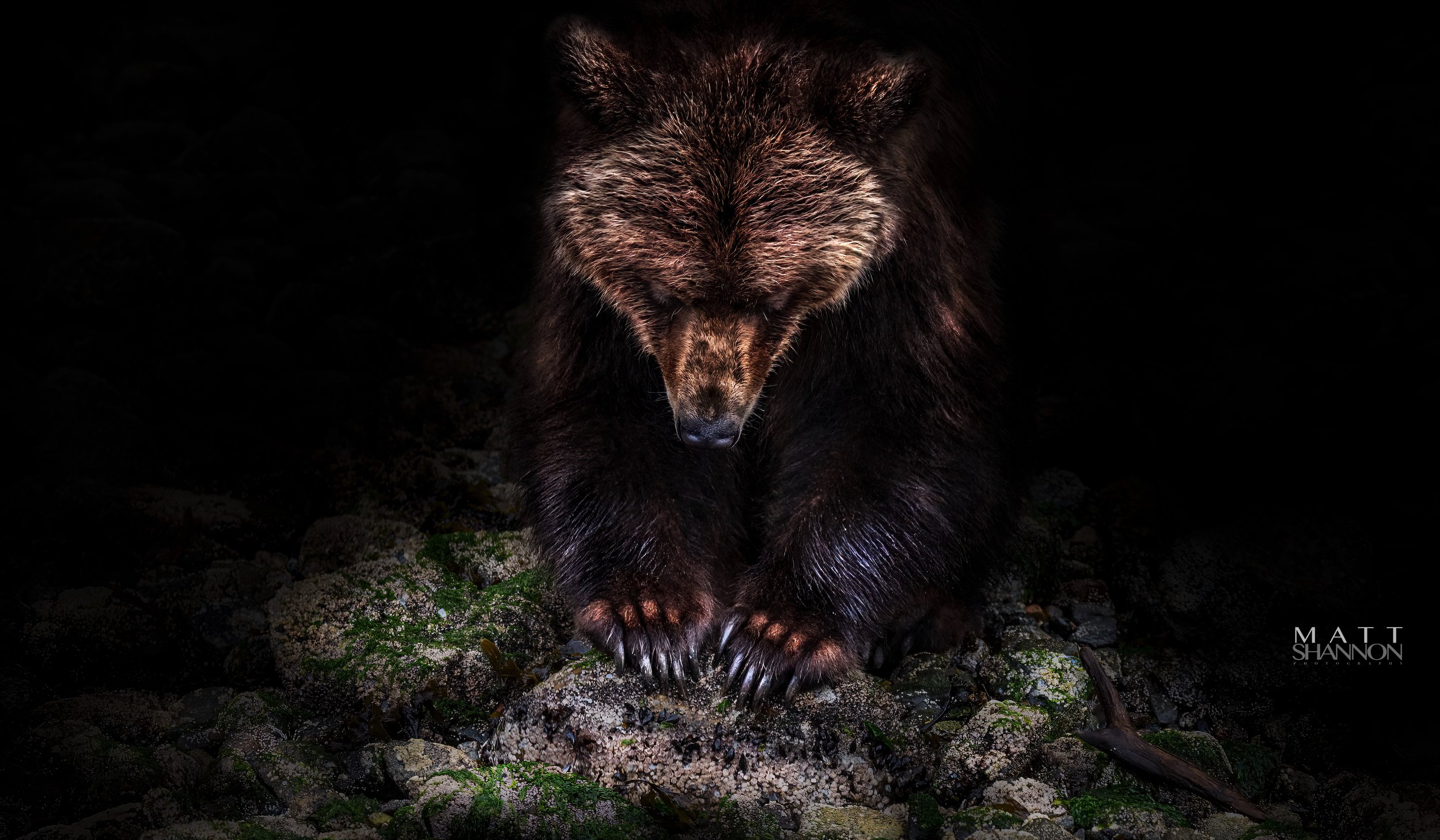 HAY_1869-Edit 2-art-scale-2_00x-gigapixel.jpg