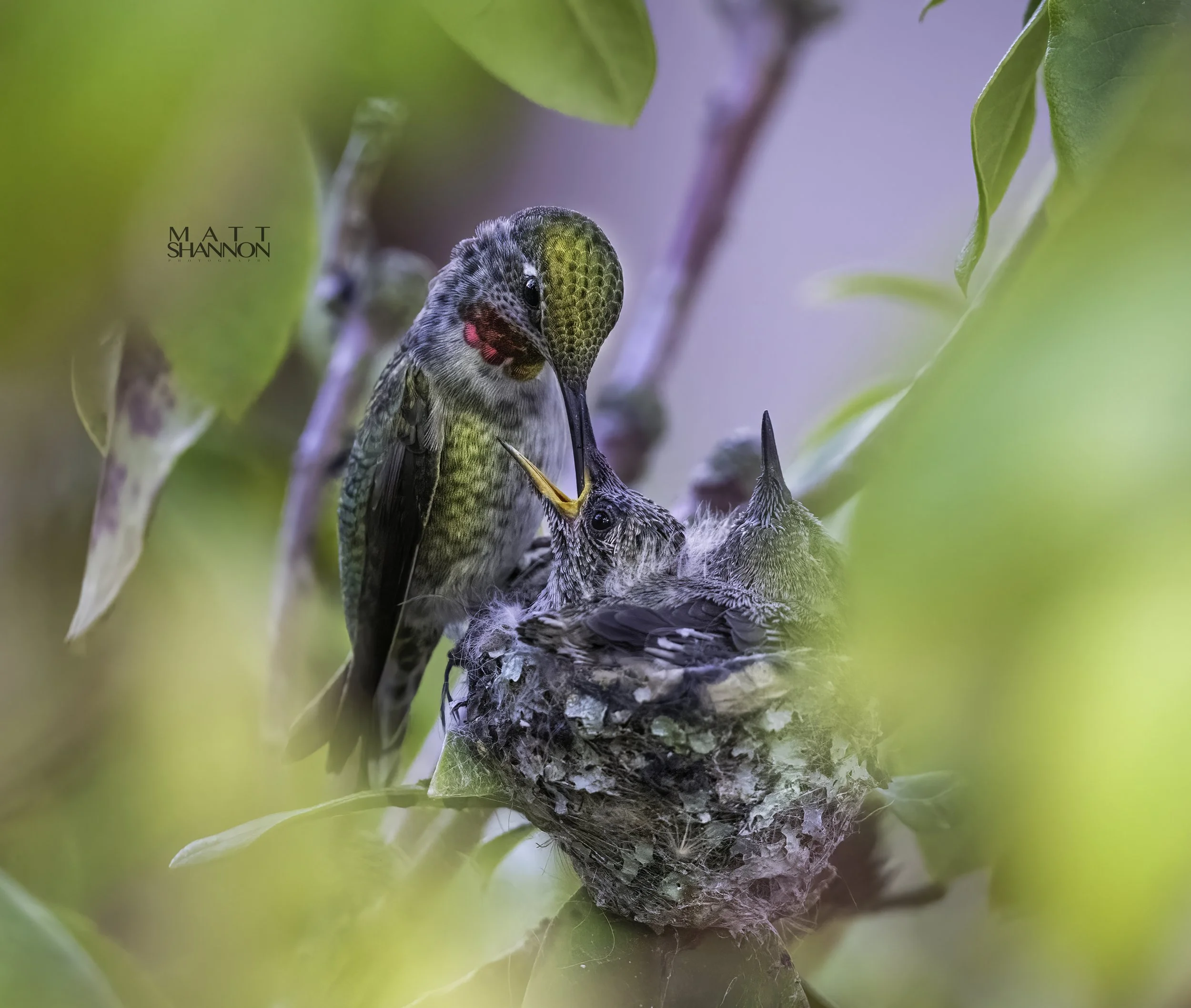 MAT_2110-crop copy.jpg