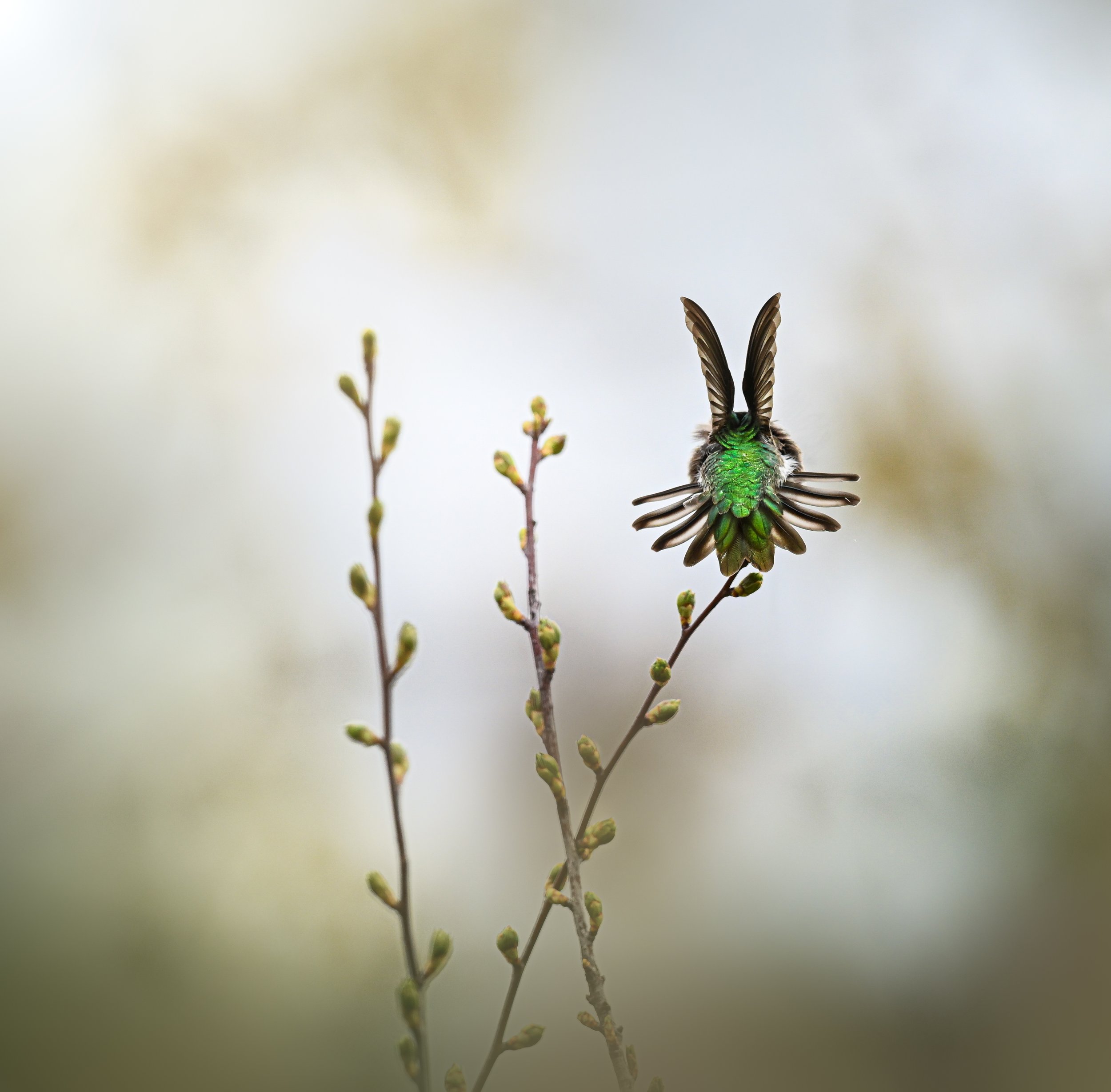 MAT_0512-Edit.jpg