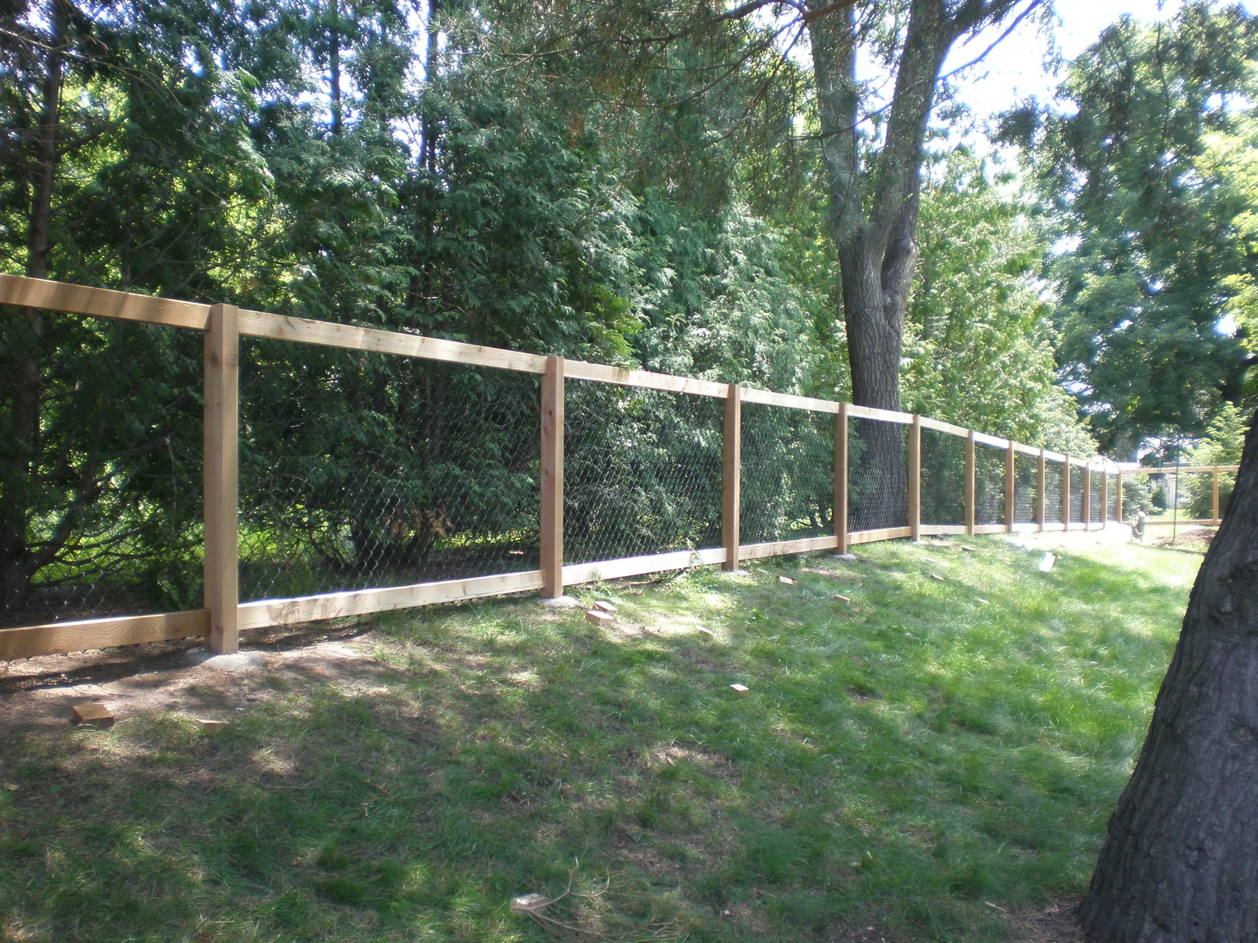 resi chain link 3.JPG