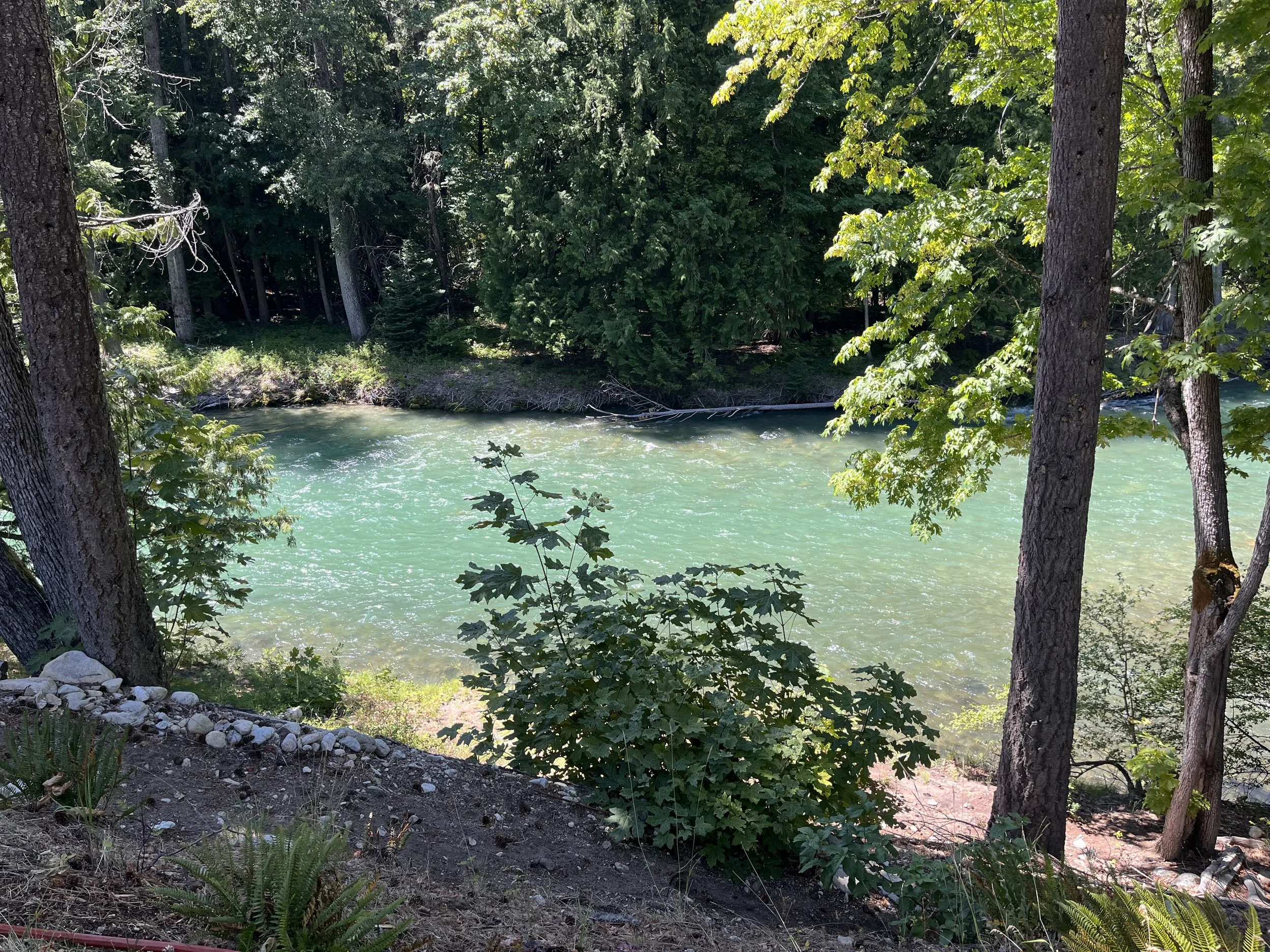 IMG_2107.jpeg