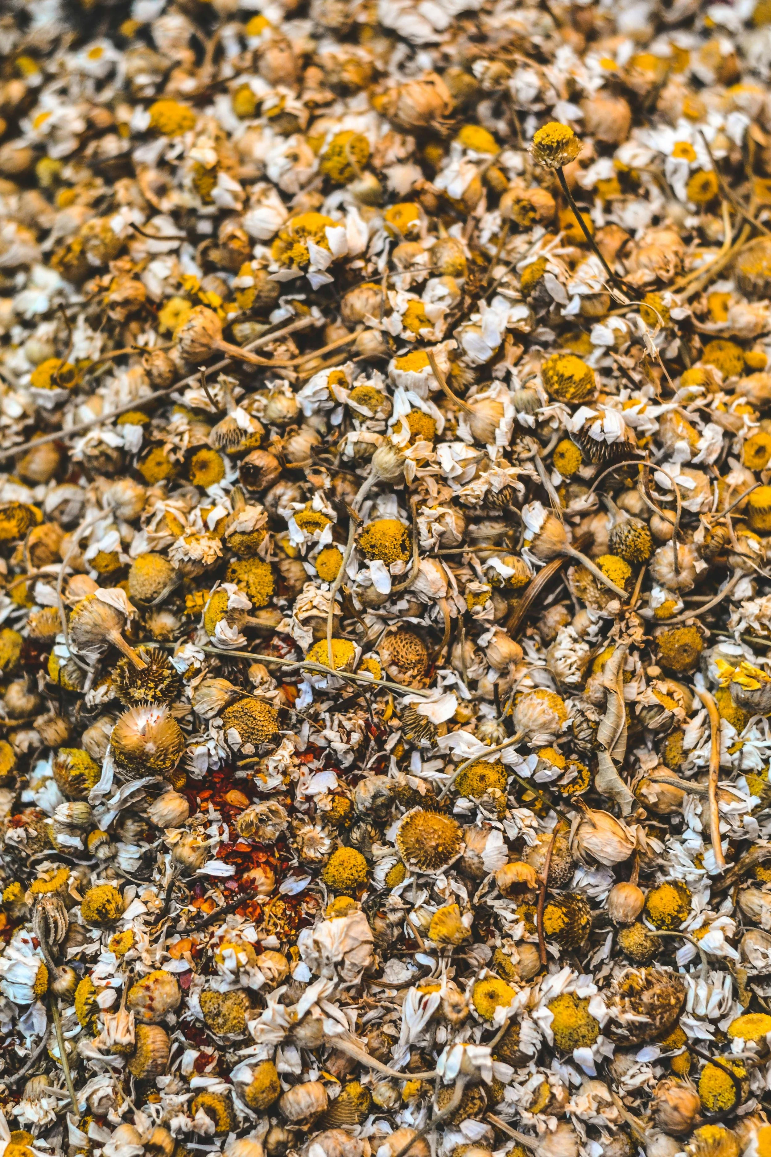 pexels-ozgomz-837275.jpg