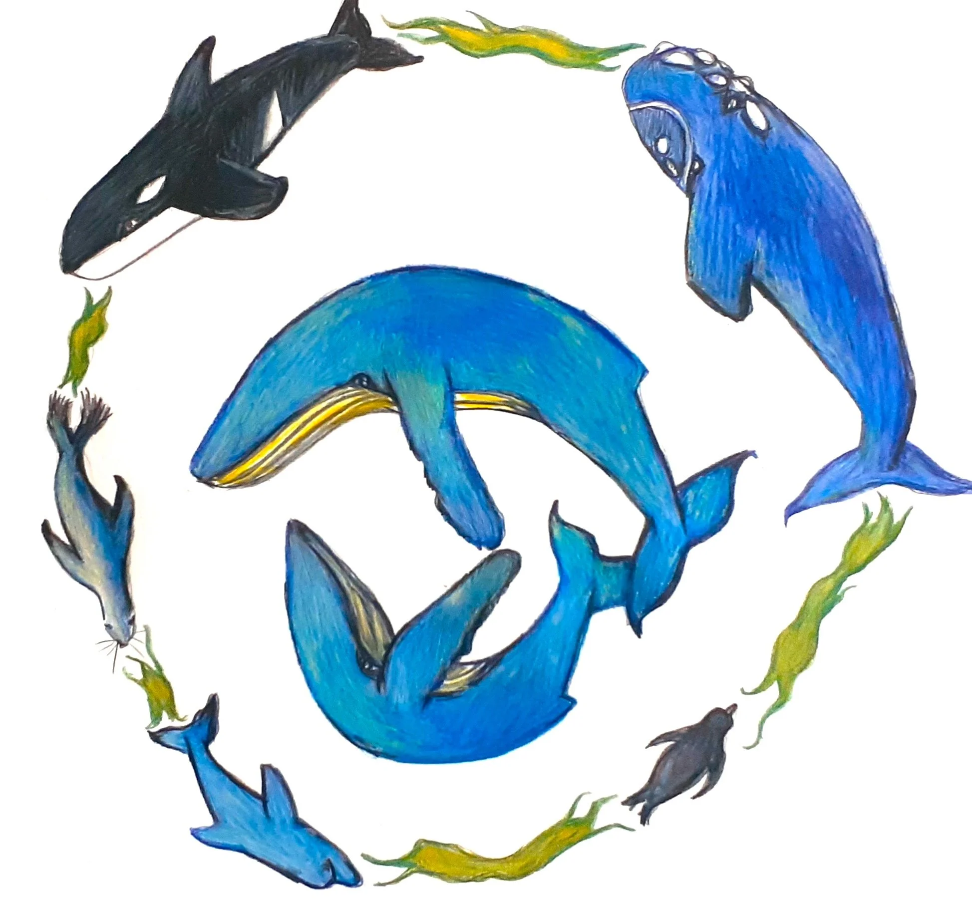 20250504_075601 adj.jpeg