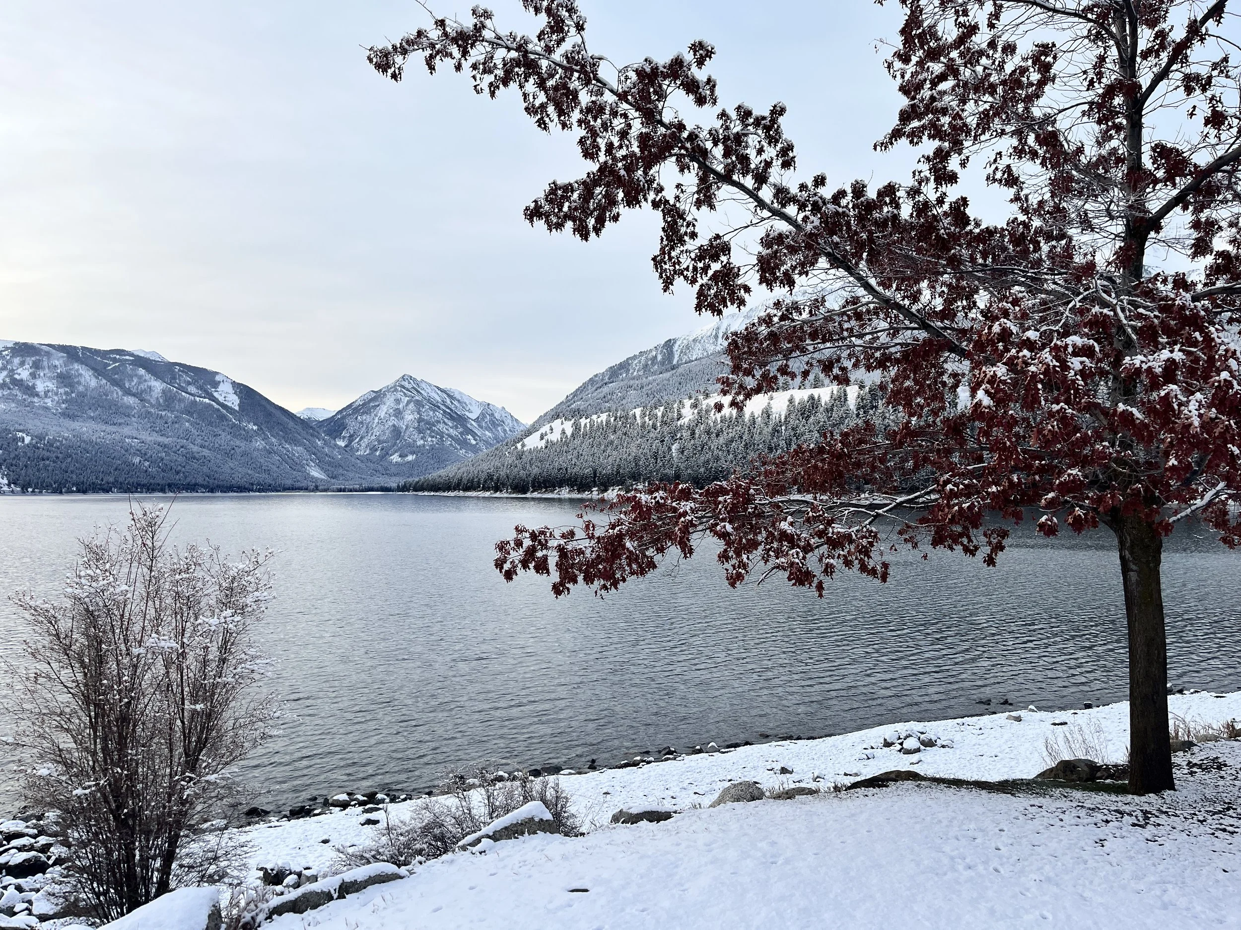 Peaceful mountain lake surrounded by evergreen trees, representing reflection and connection within the Divine Earth Church community.