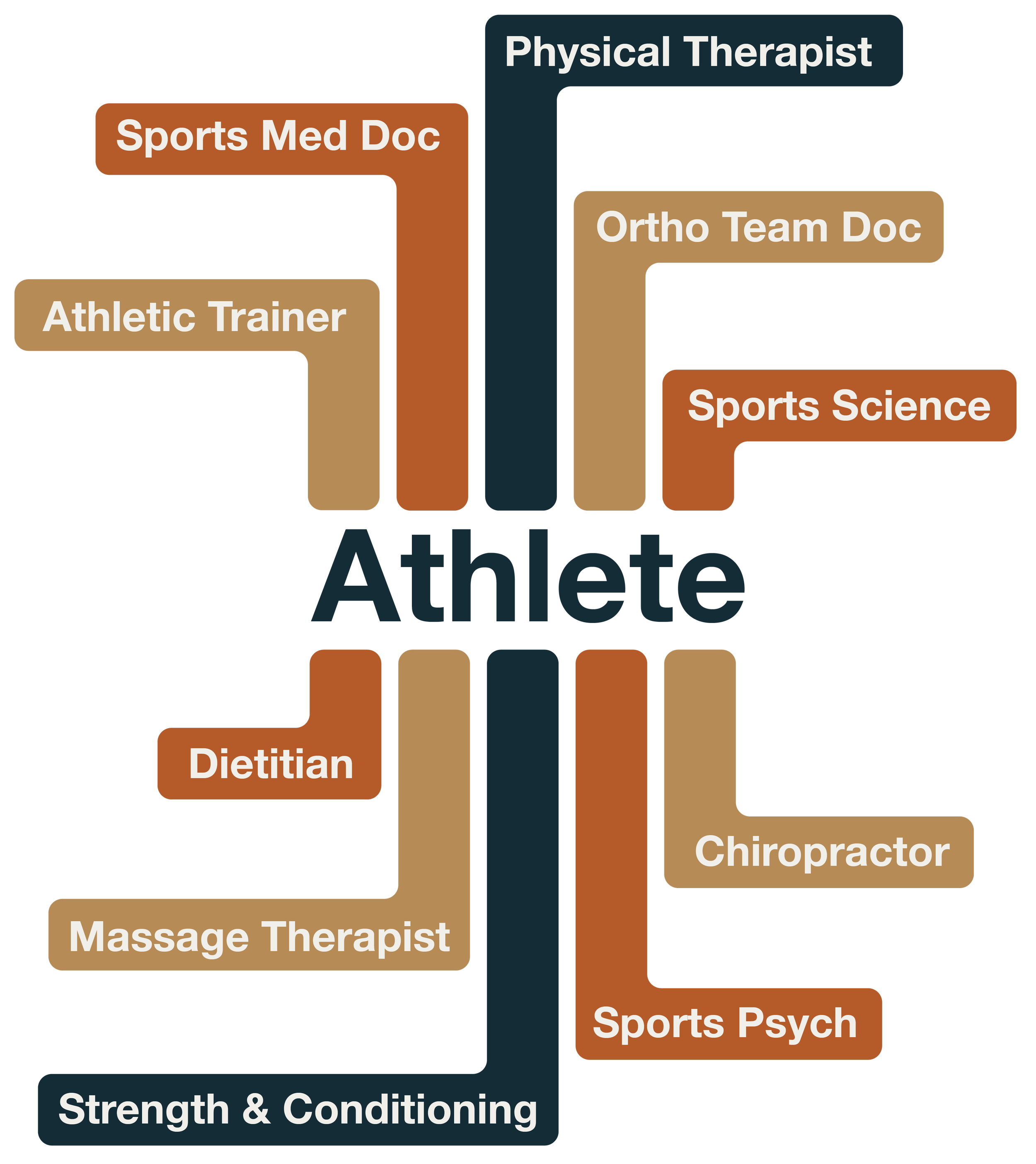 PT role in treating the NBA athlete