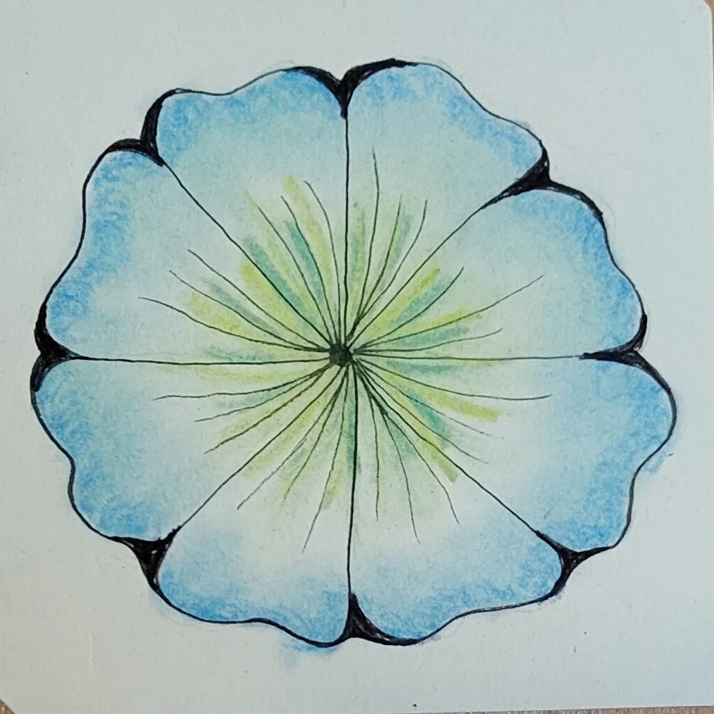 Kurs 1 Blüte 1b.jpg