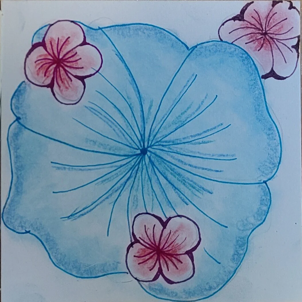 Kurs 1 Blüte 1d.jpg