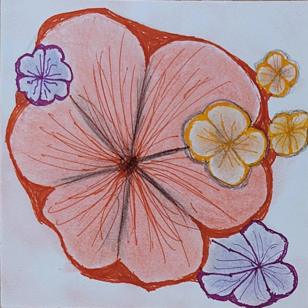 Kurs 1 Blüte 1e.jpg