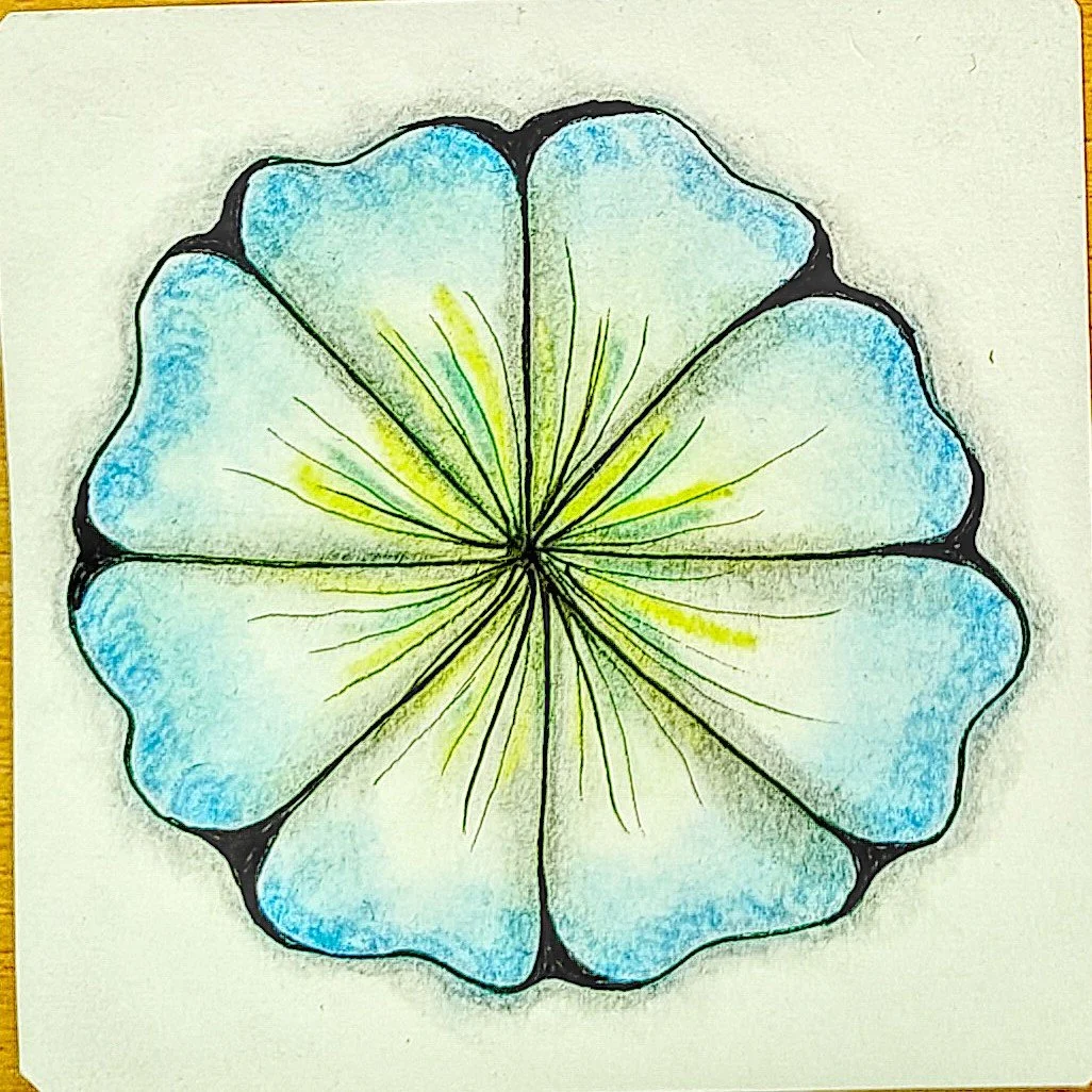Kurs 1 Blüte 1b.jpg