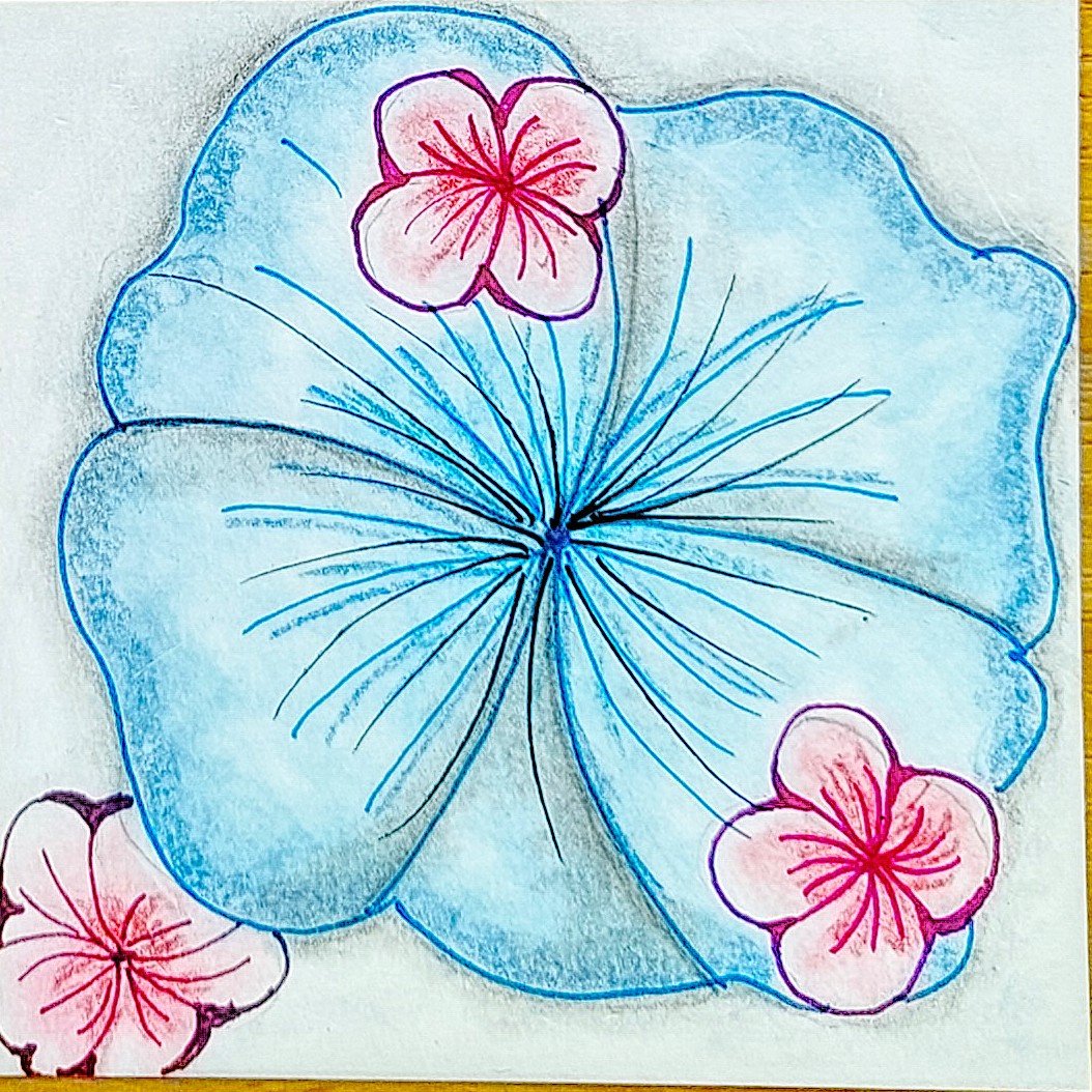 Kurs 1 Blüte 1d.jpg