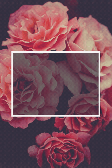 Less is More, and This Card Says it All Floral Valentine's Day Card | Animated | Static | Instant Download