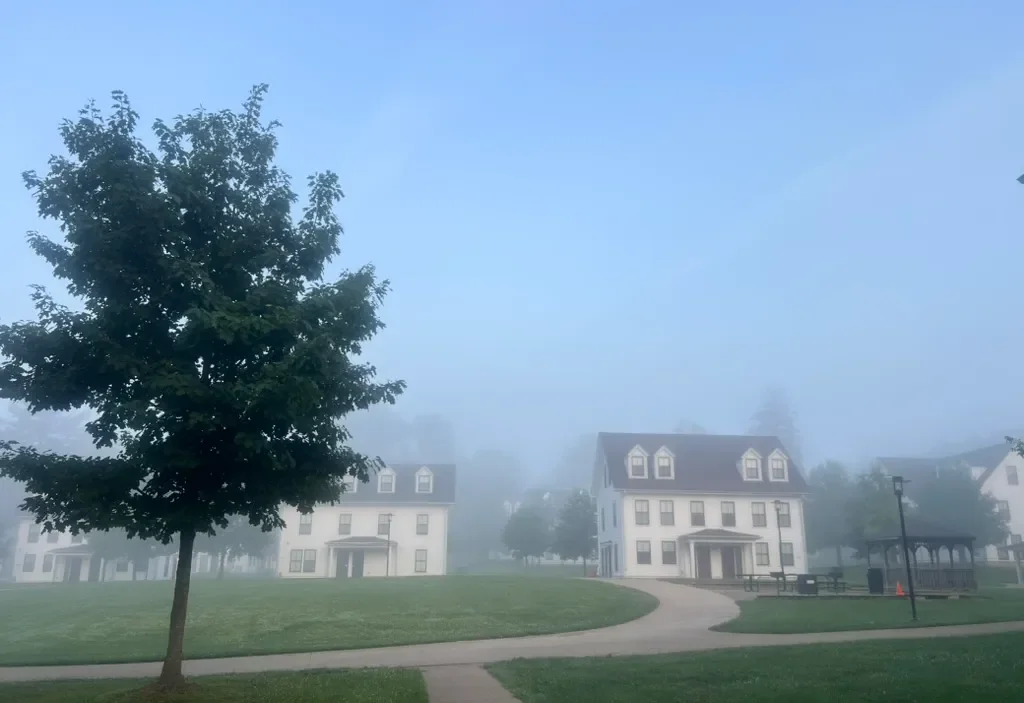 white houses with fog
