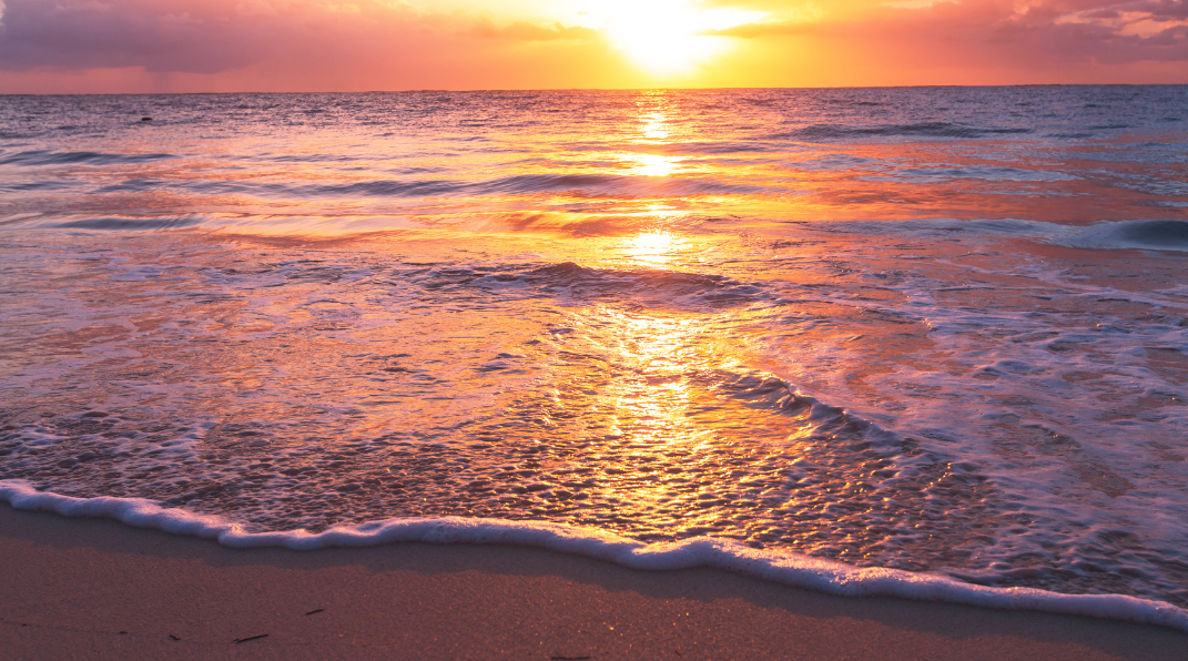 Untitled design (56).png