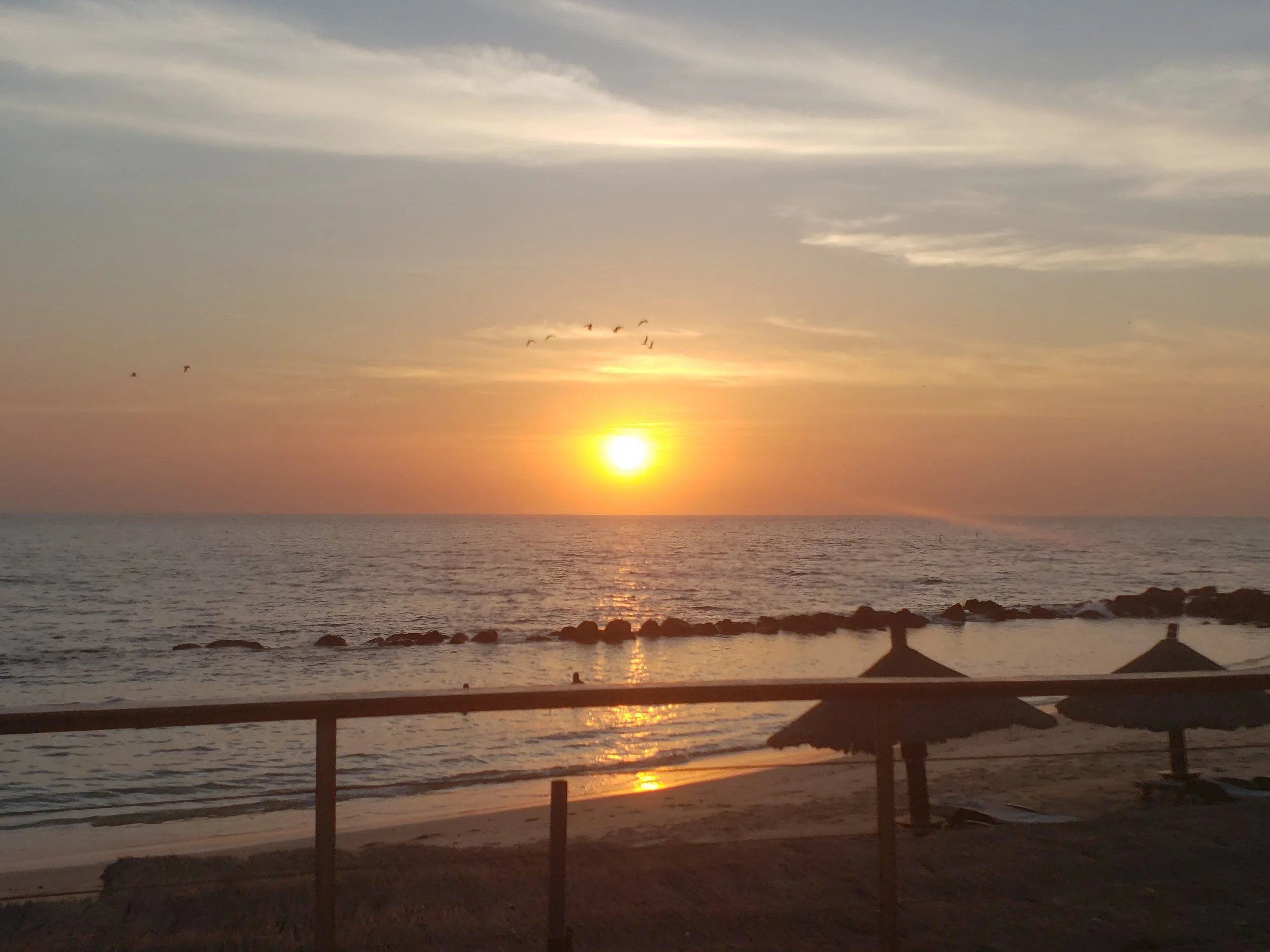 20201115_182450.jpg