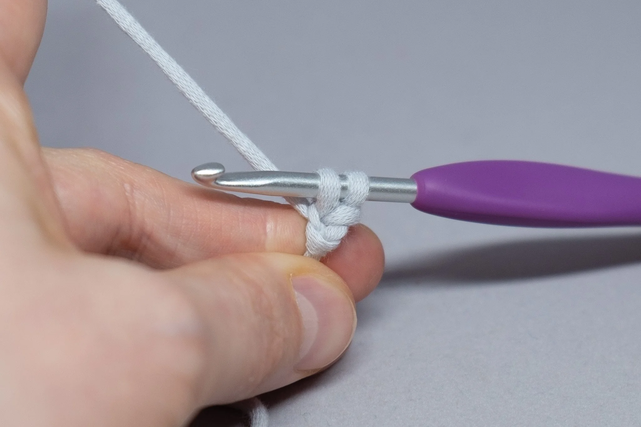  2. Insert hook into the 2nd ch from the hook. Yarn over and draw up a loop. Your piece should look like this. 