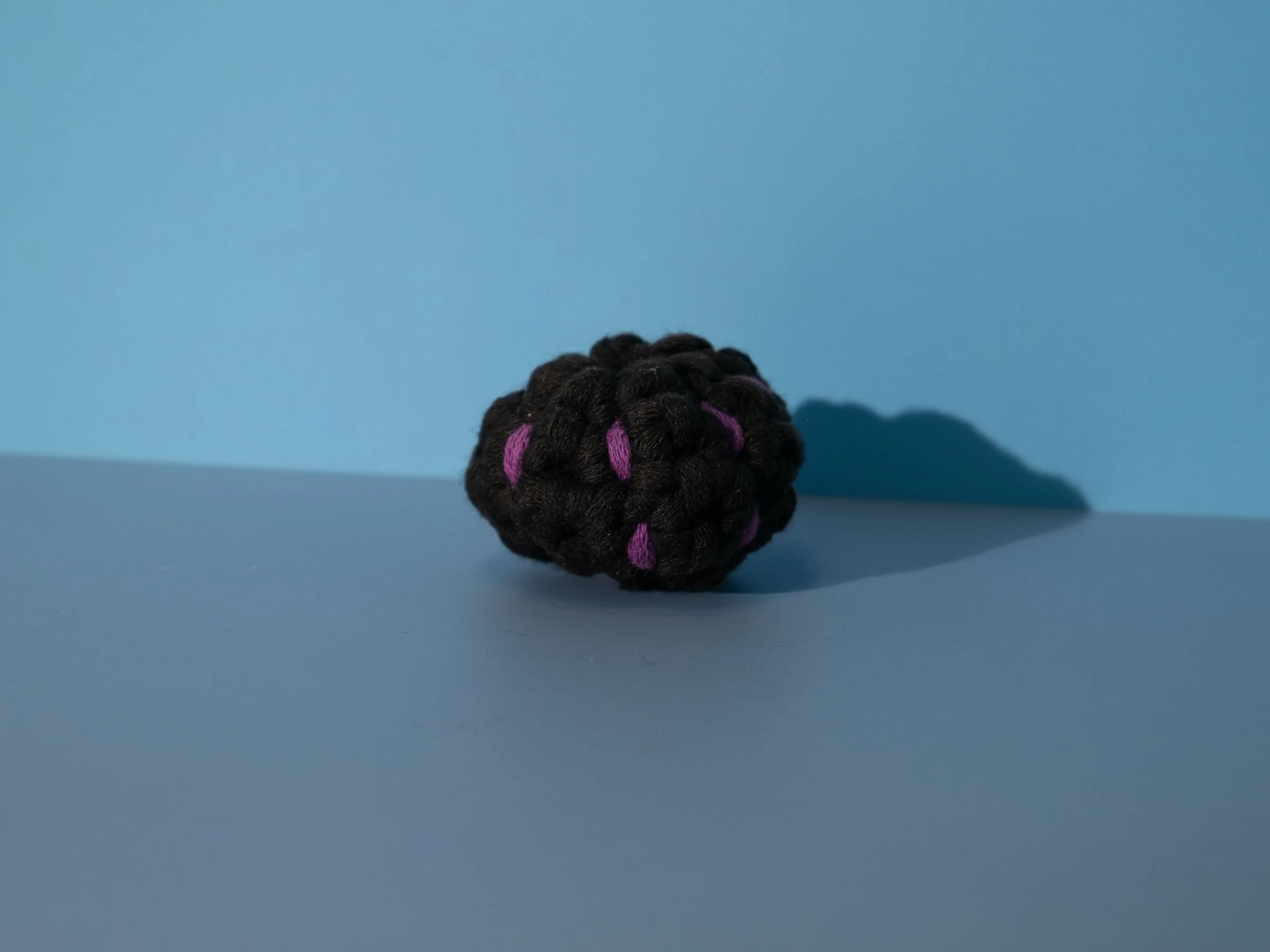 Itty Bitty Sea Urchin