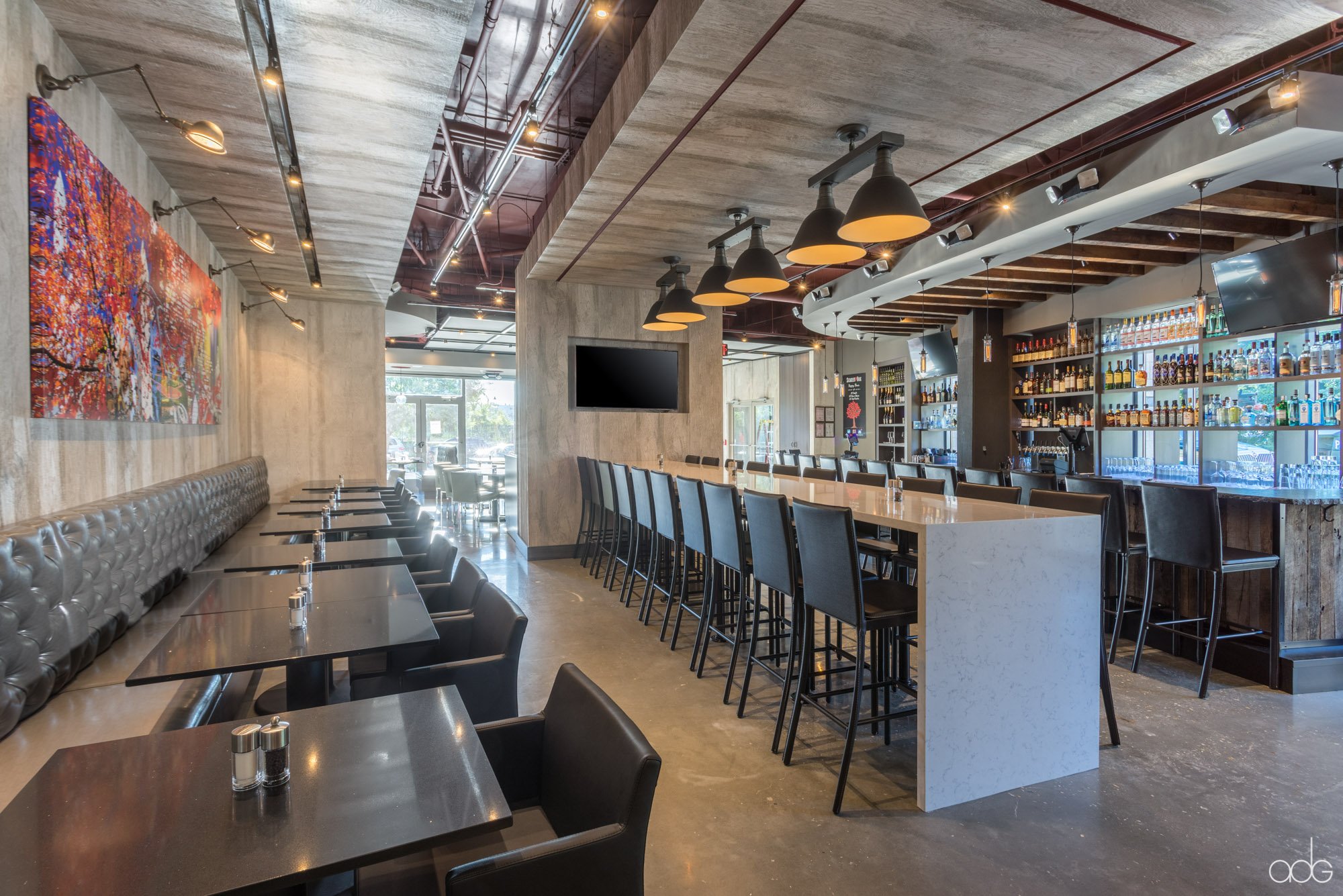 Scarlet Oak - Washington DC.jpg