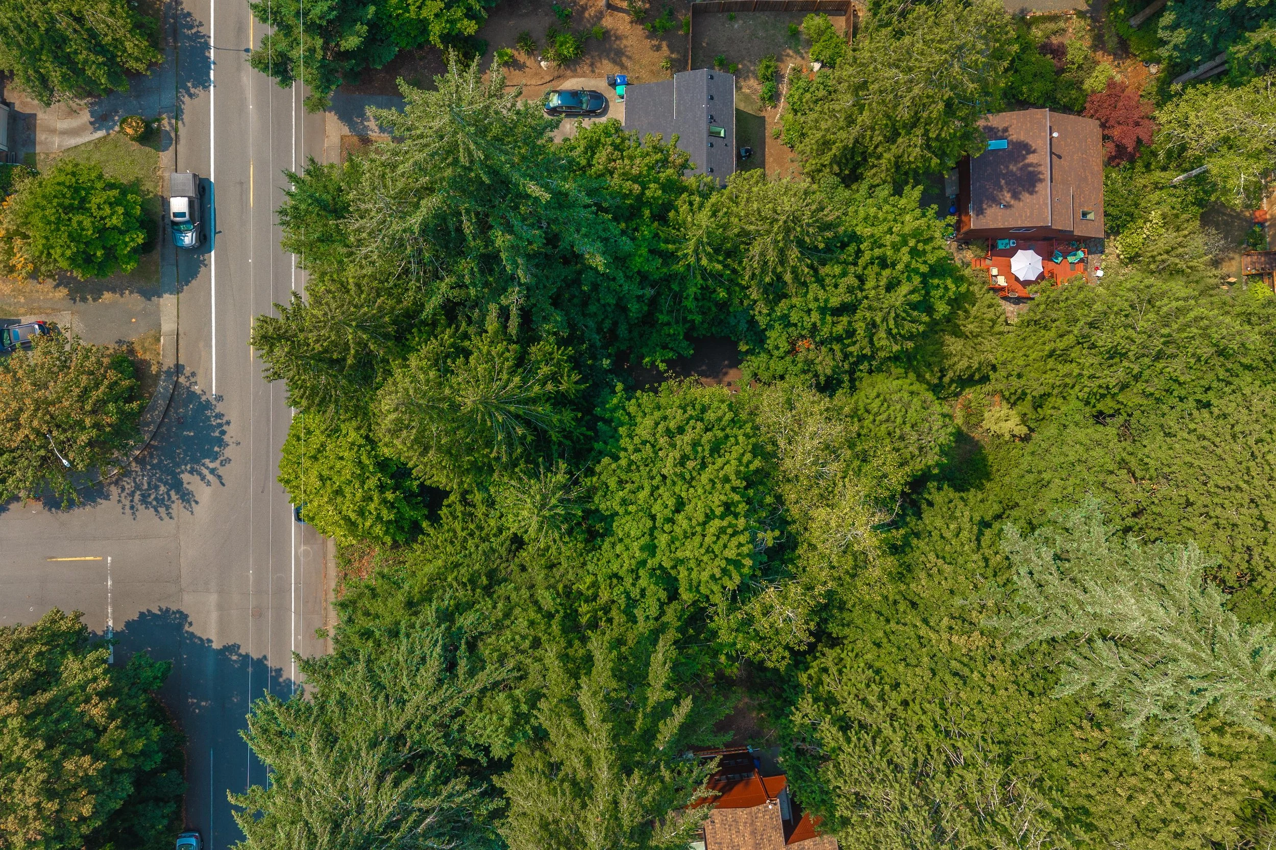 DJI_20260805140249_0596_D.jpg