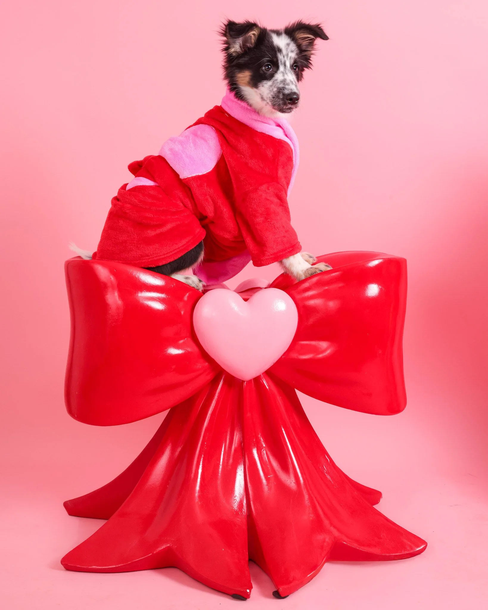 Sips, Snacks, and Snuggles