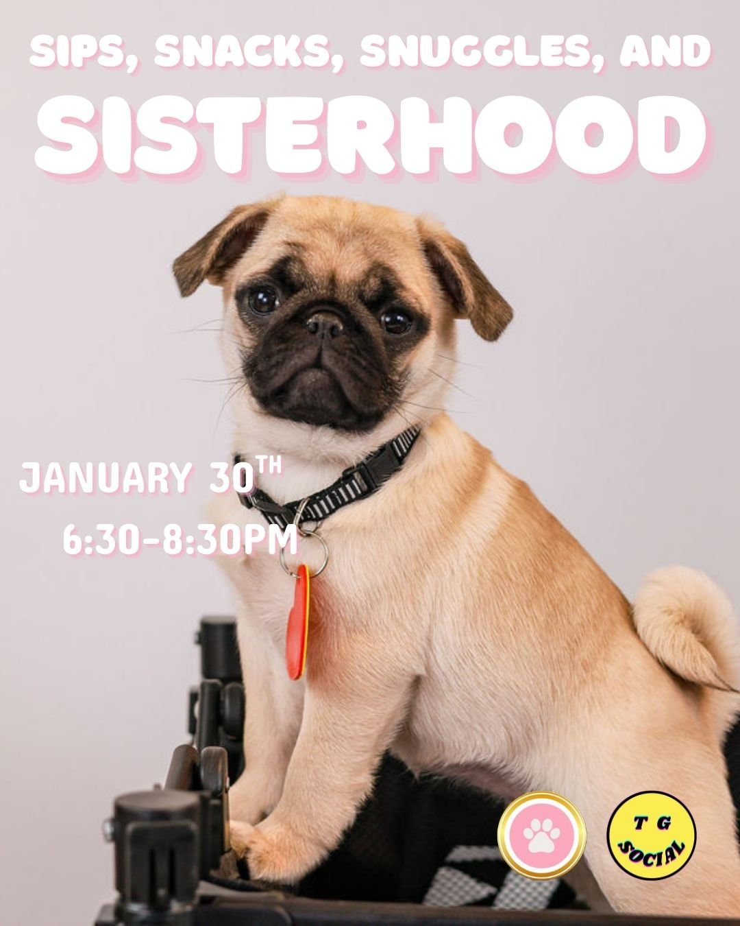 Sips, Snacks, Snuggles, and Sisterhood