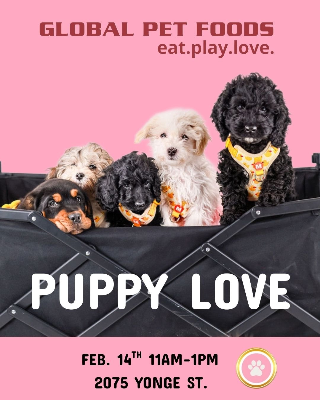 Puppy Love With Global Pet Foods Davisville