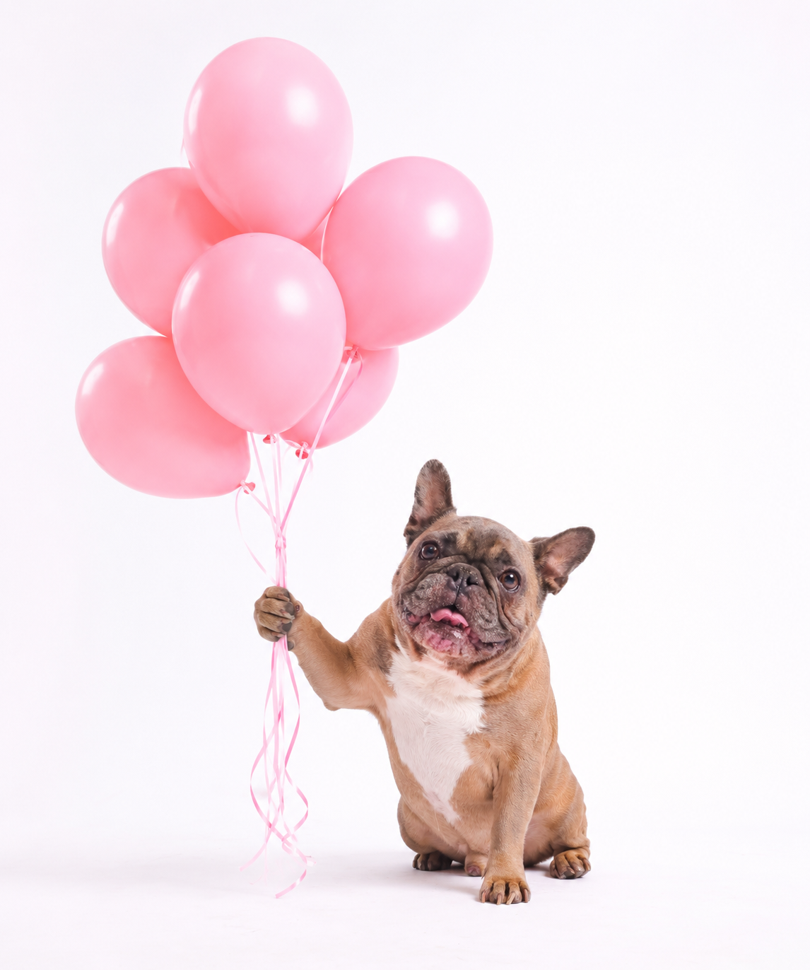 Chunky's Celebration of Life