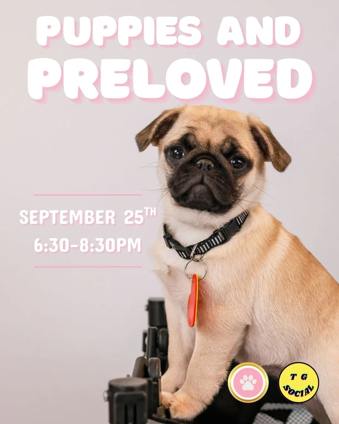 PUPPIES AND PRELOVED