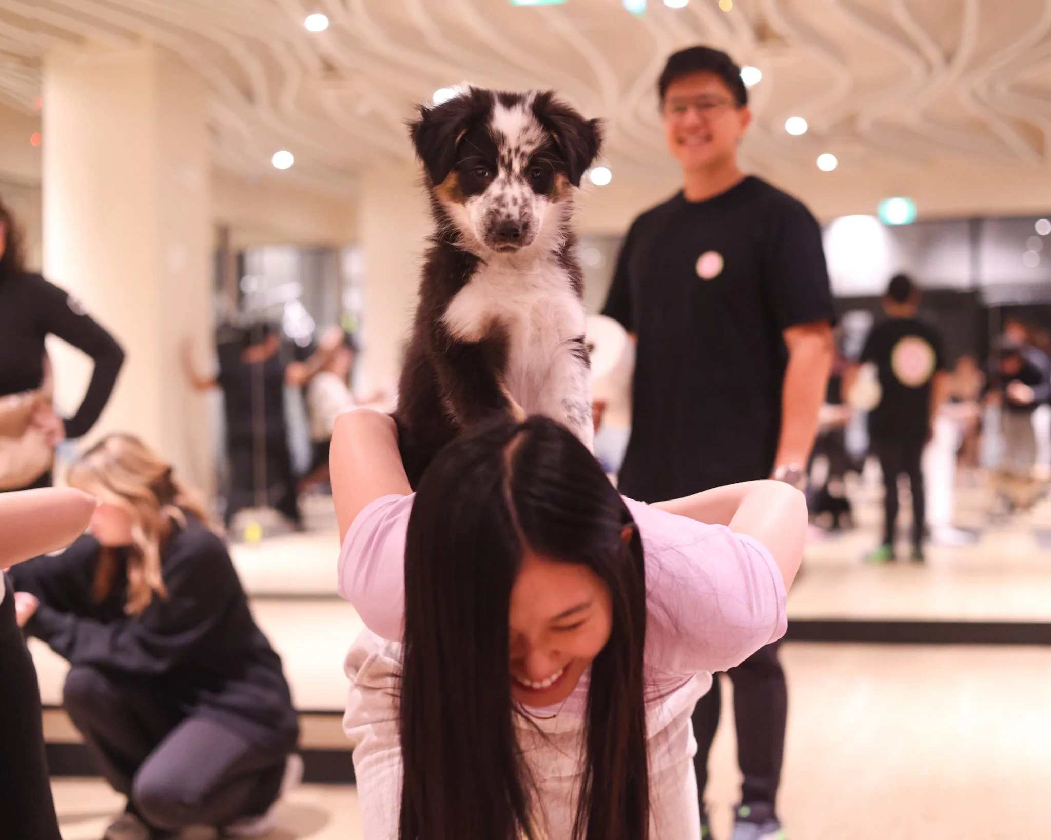 A woman laughs while bent over in a fitness studio with a fluffy black and white puppy sitting on her back, during a Pudgy Pups Canada corporate event that combines playful dog interactions with wellness activities.