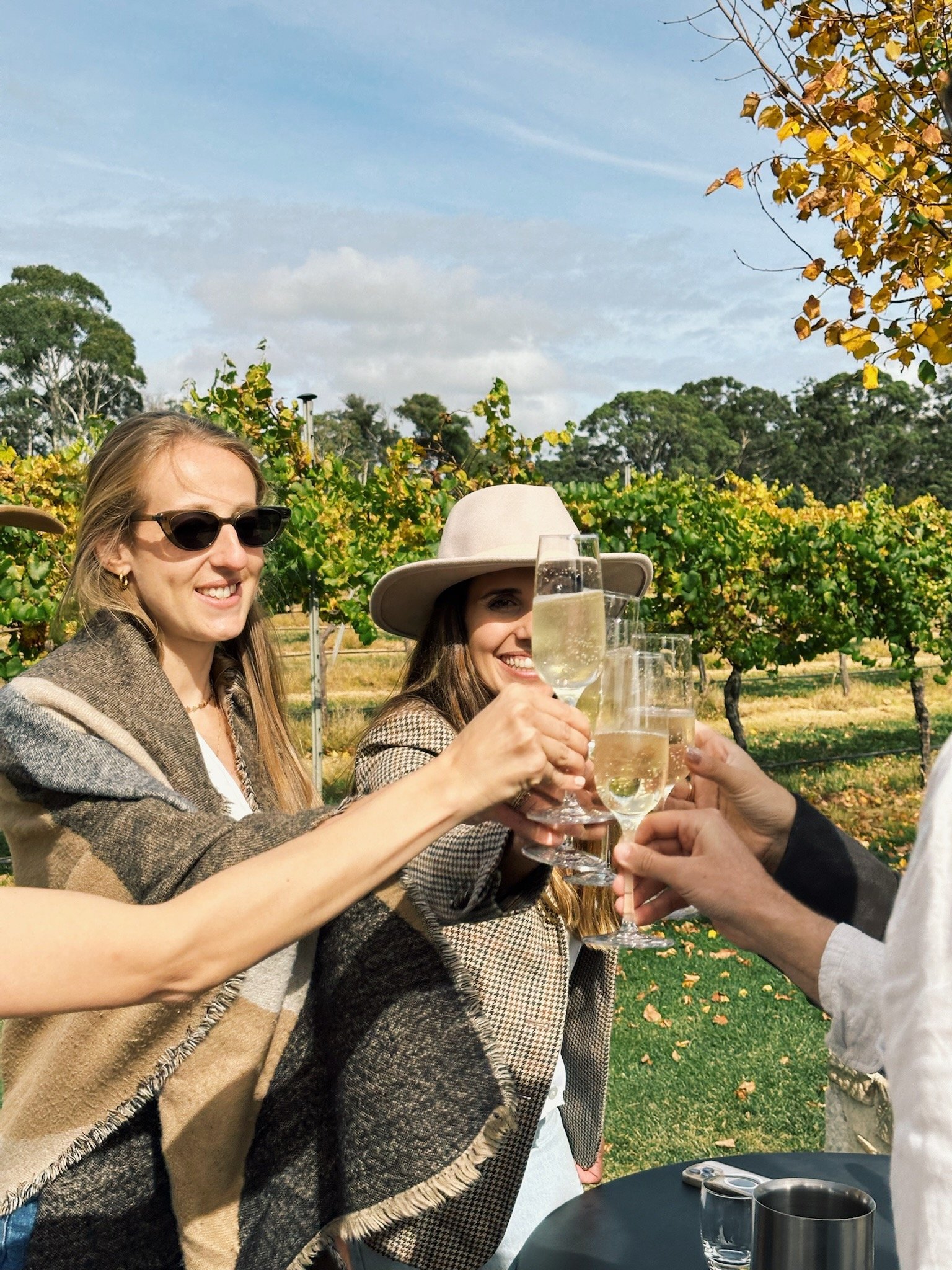 Cool-climate vineyard in the Southern Highlands near Bowral NSW — wine tasting country