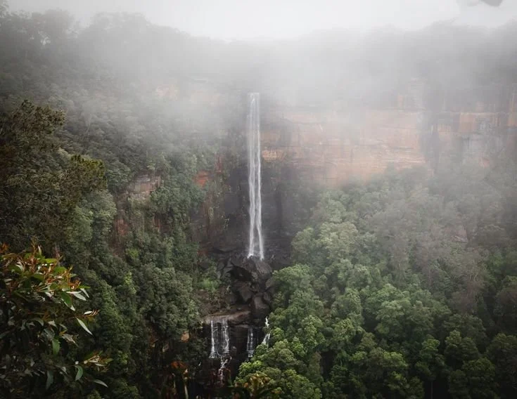 Fitzroy Falls cascading down sandstone escarpment