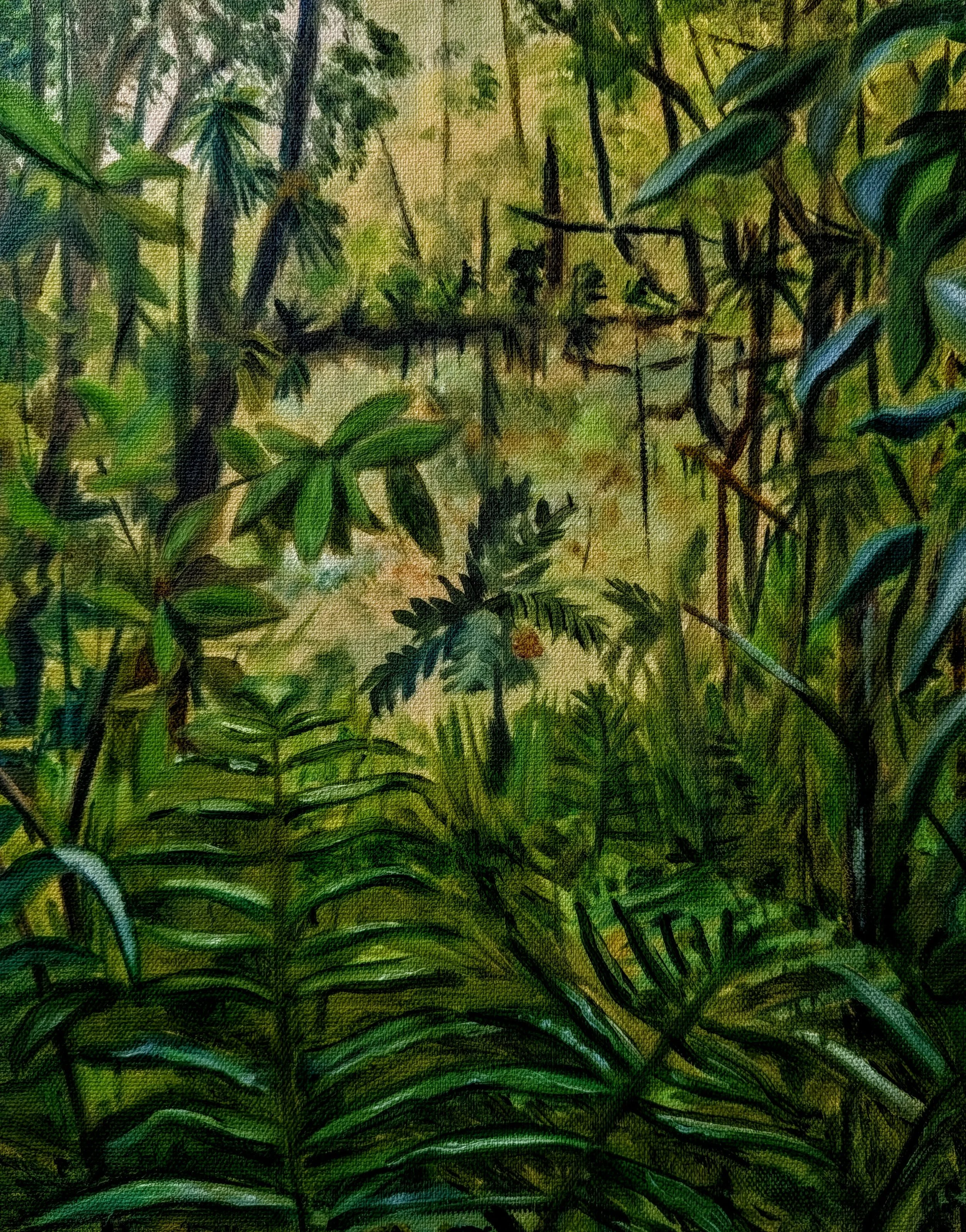 Ecuadorian Cloud Forest