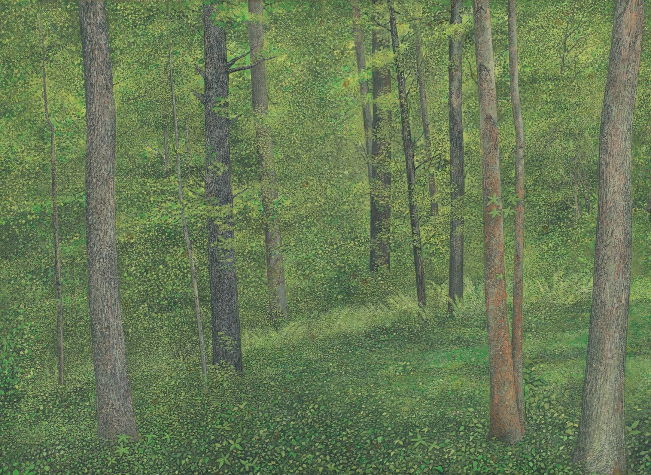 Back Woods, 1969