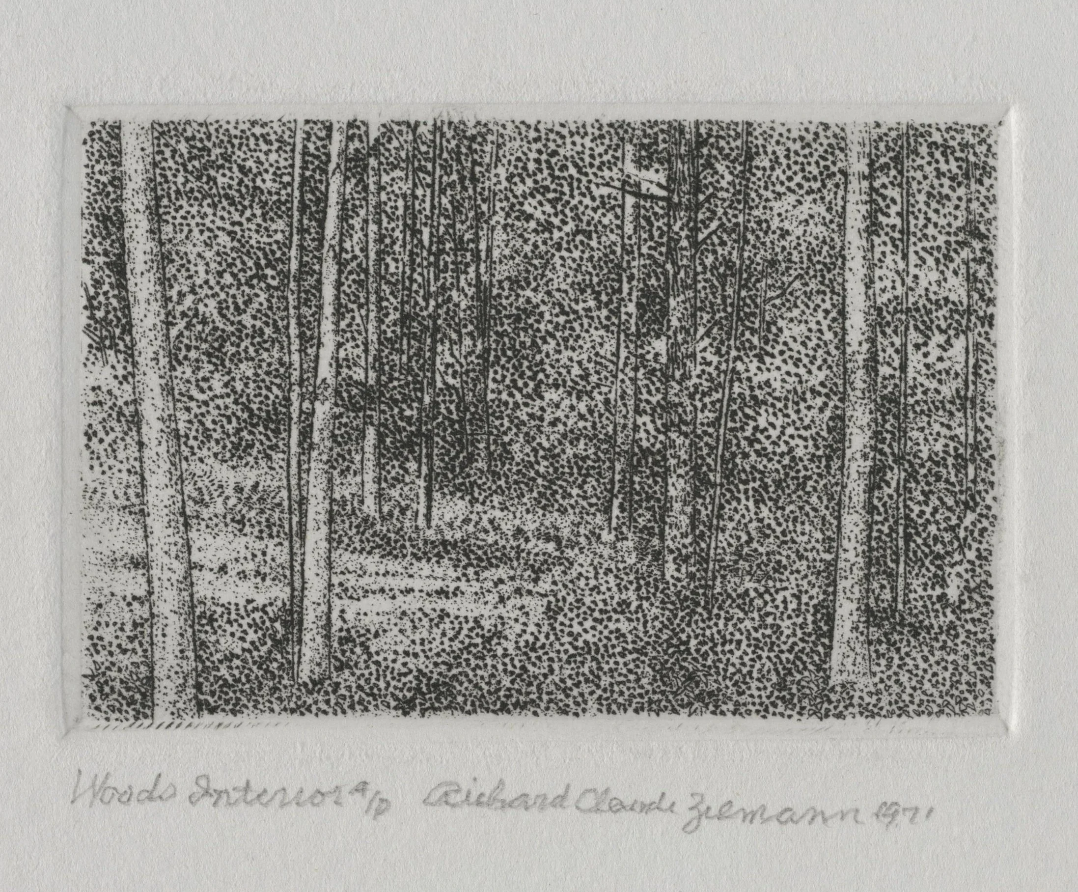 Woods Interior by Demonstration archive