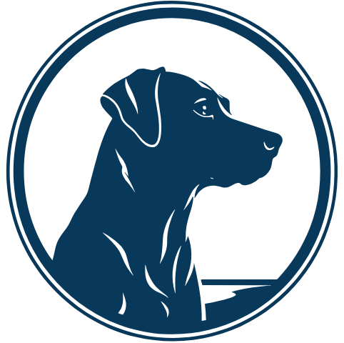 Welcome to Math Class Google Header (1).png