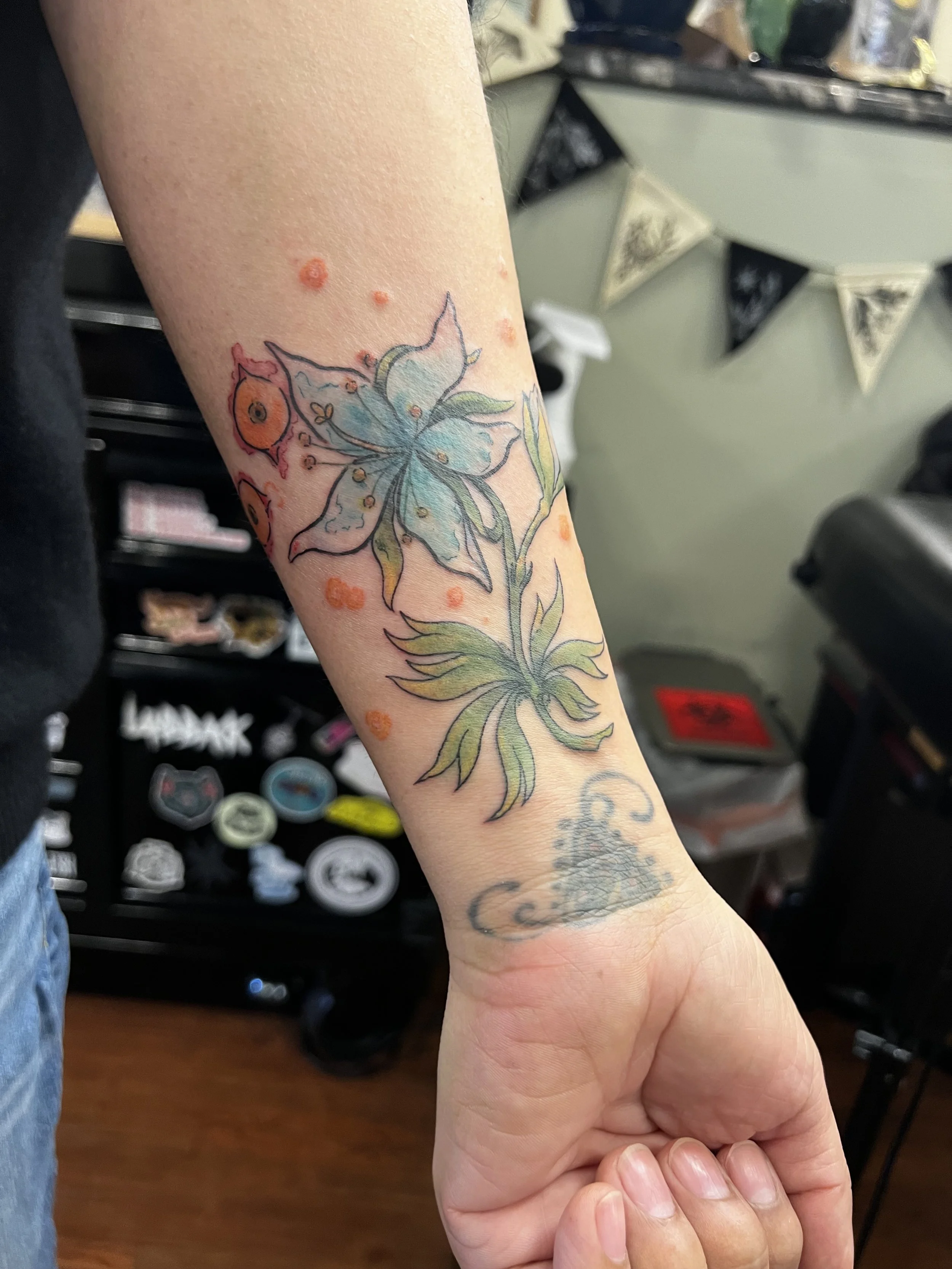 IMG_0027.jpeg