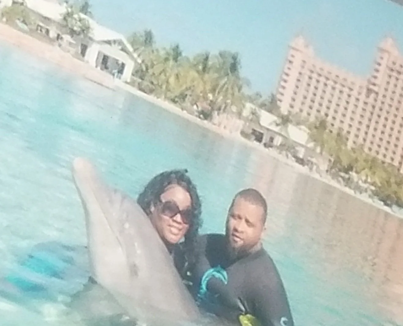 Swimming with the dolphins in Atlantis 