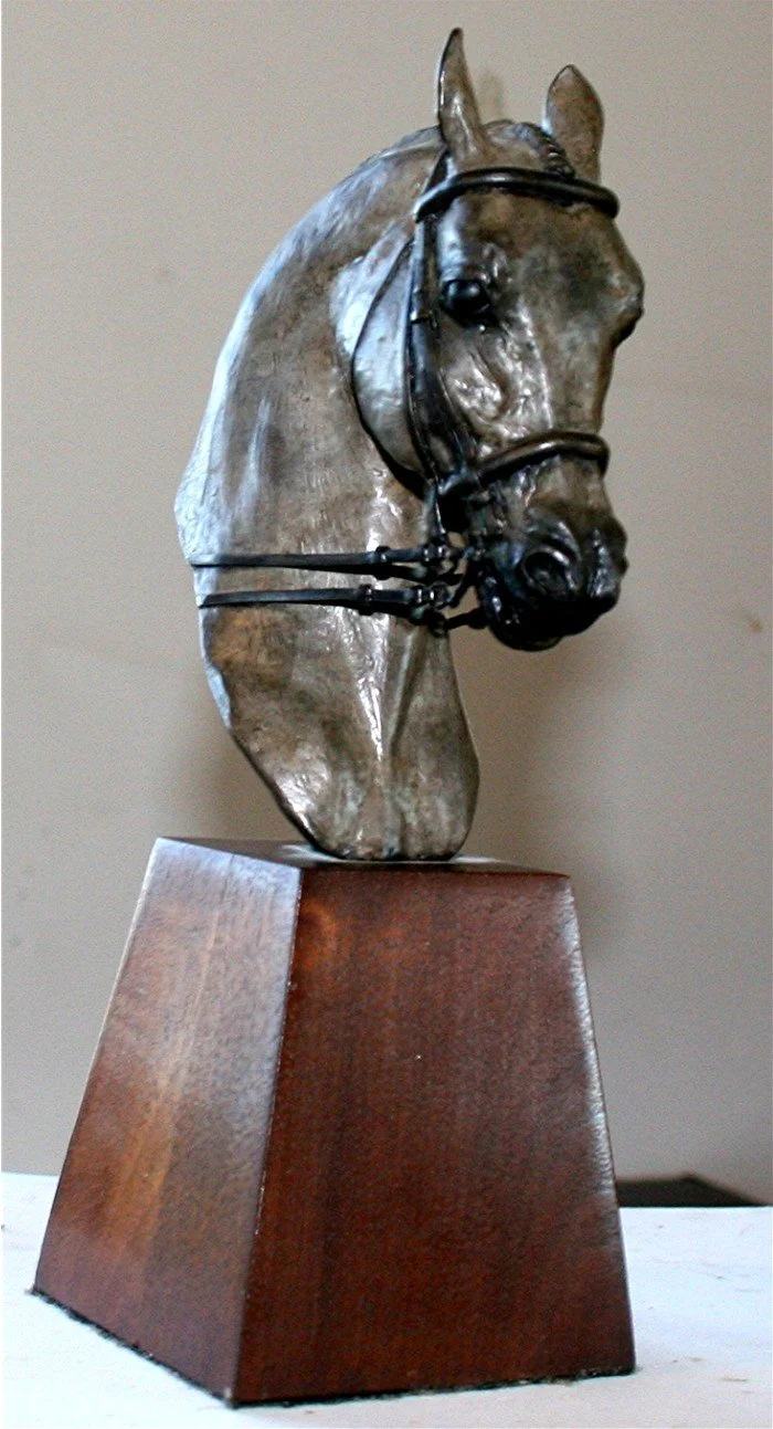 Head of a champion - Bronze with silver patina.