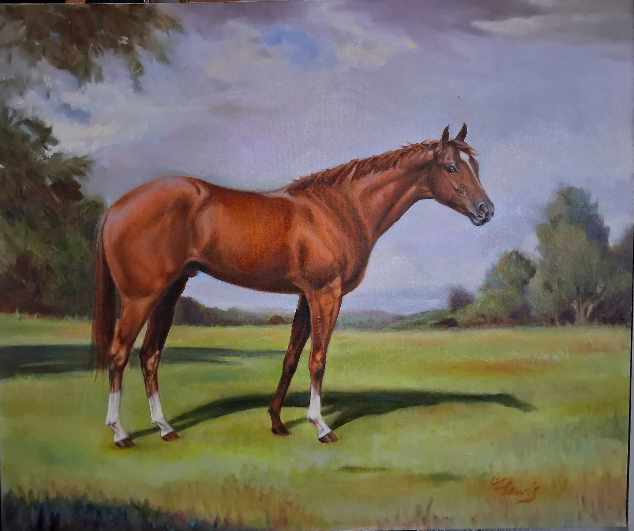 Secretariat, 20x24  Unfinished