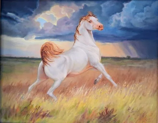 'Storm Chaser" 16x20