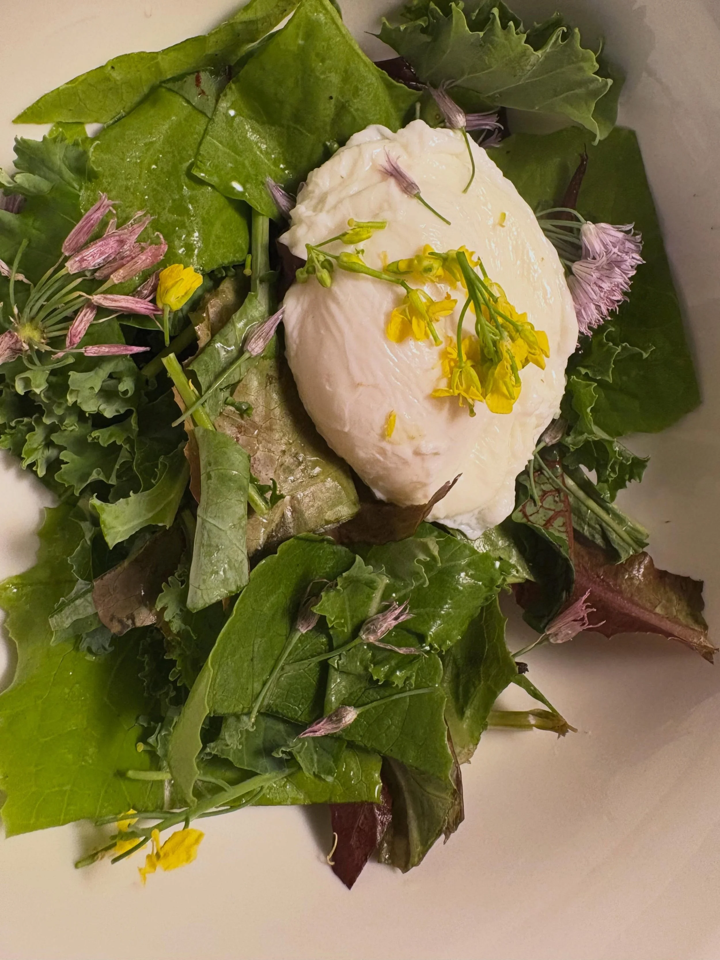 It&rsquo;s been way too long since I&rsquo;ve had this and it made me so happy. Homegrown: lettuces, baby kale, broccolini leaves, bok choy flowers, two types of sorrel, and chive flowers with a poached egg, few cracks of black pepper and evoo drizzl
